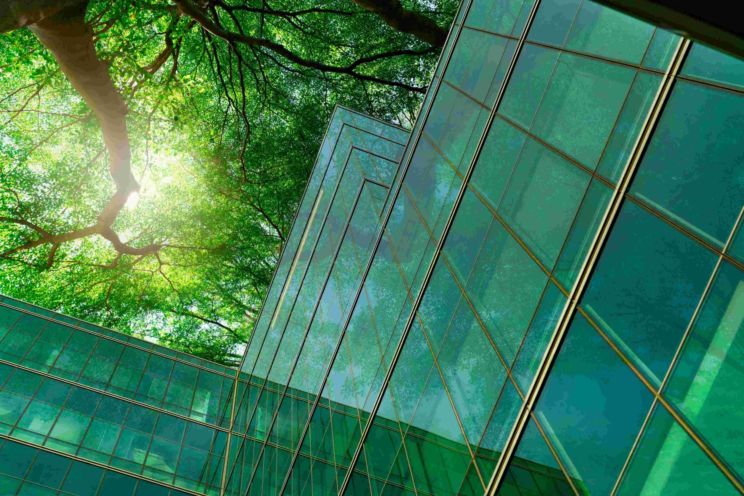 5 trends in sustainable architecture