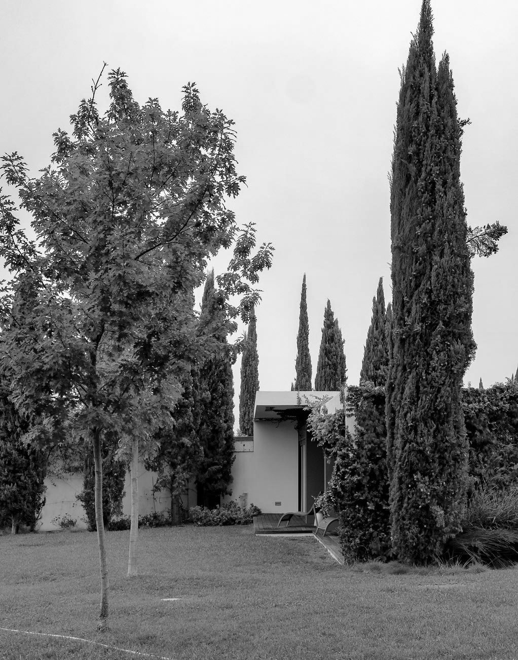 jardin de la maison