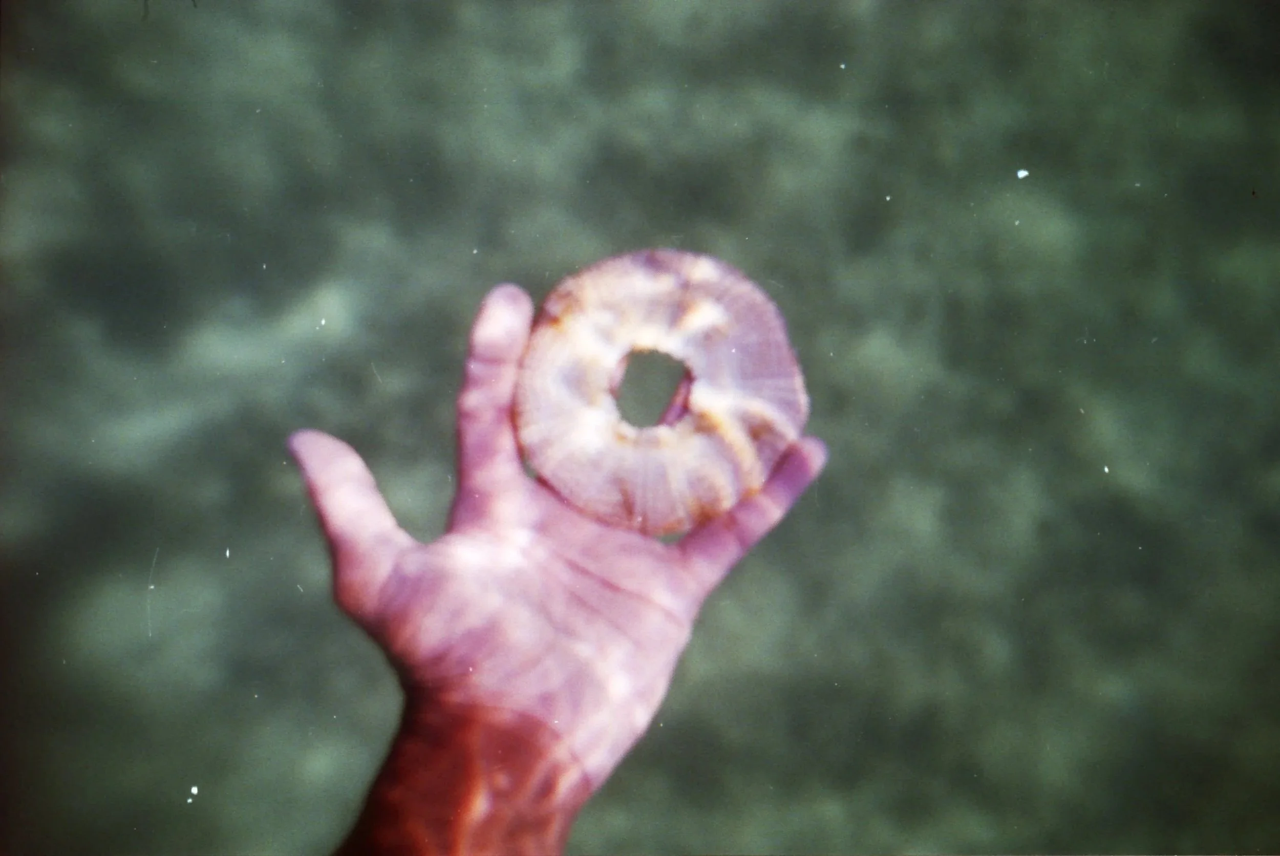 04150041.jpg