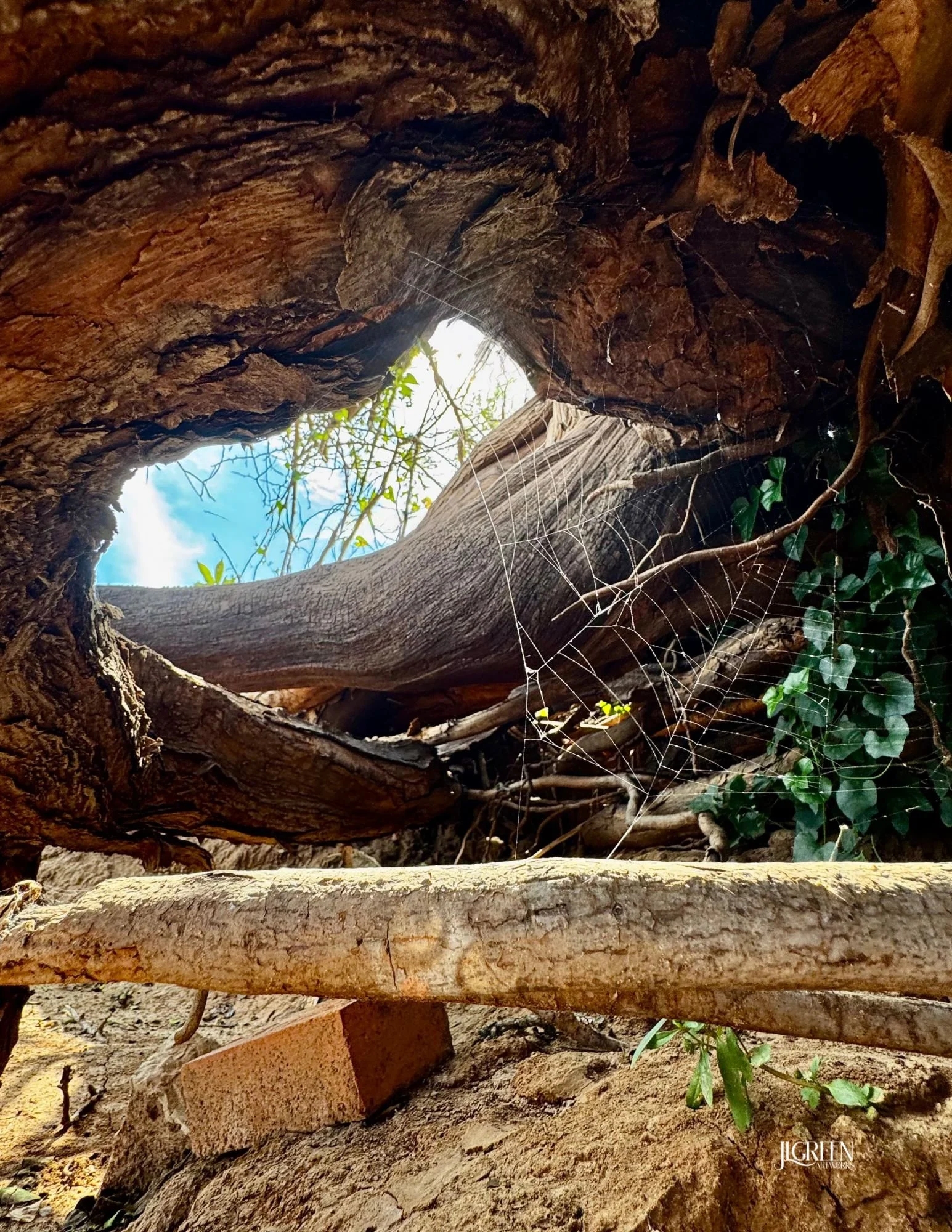 LOOK UP