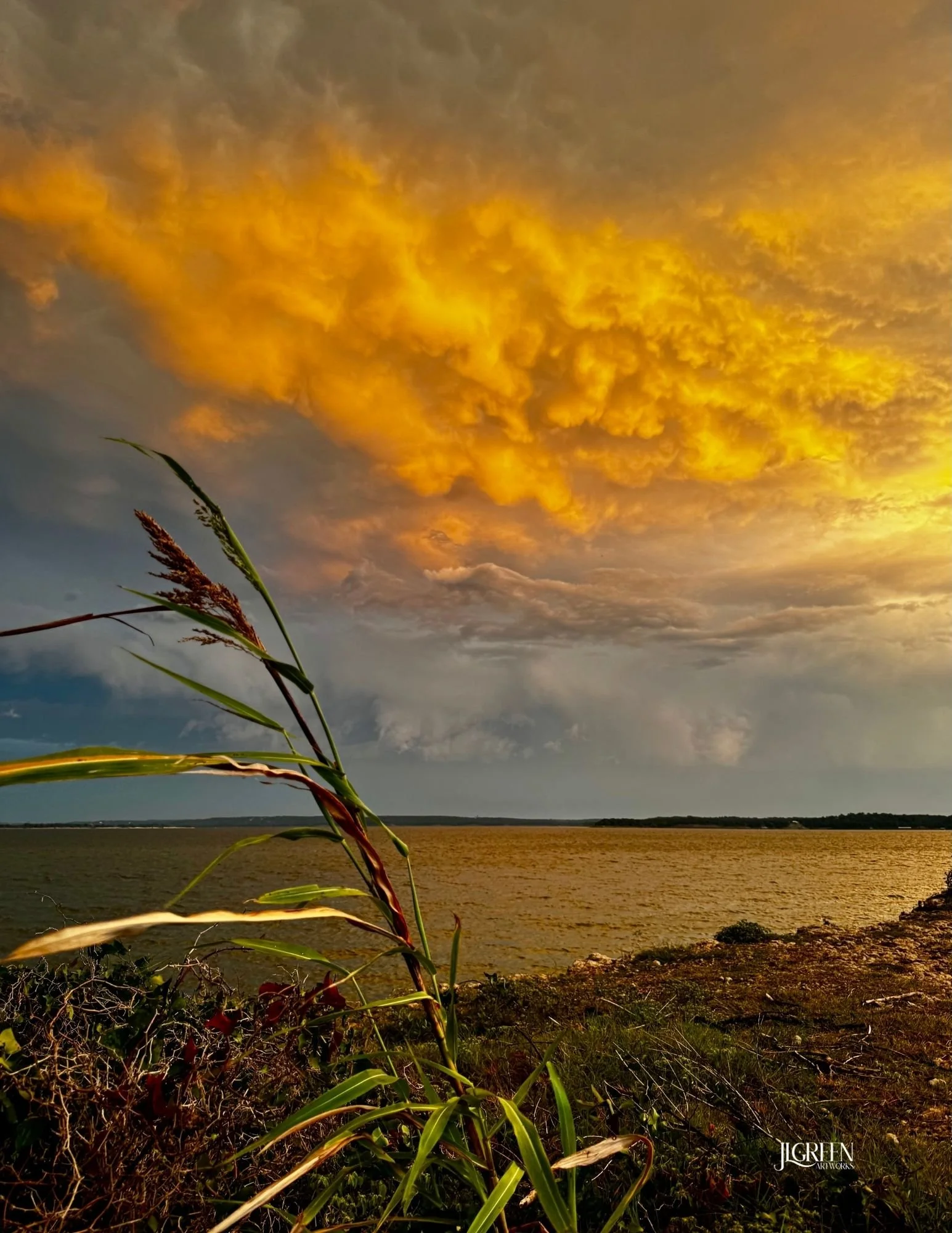 BEFORE THE STORM