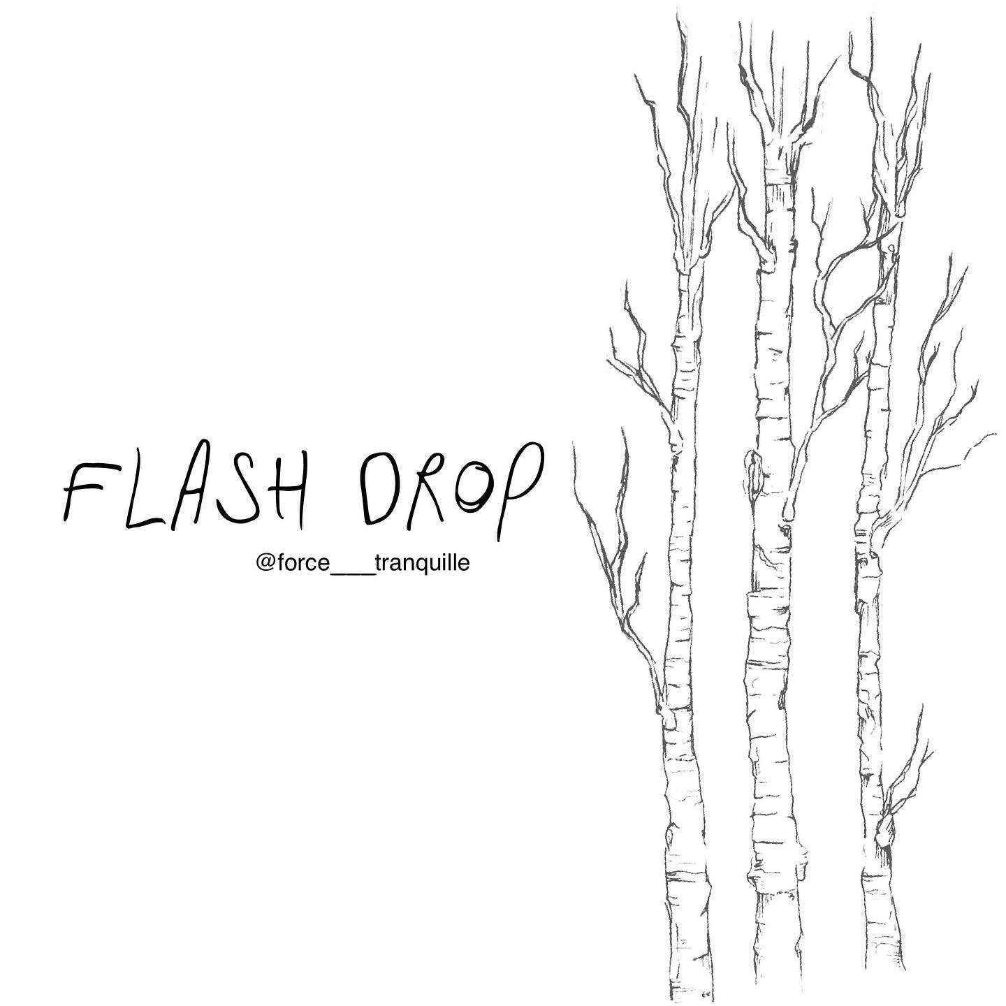 FLASH DROP ✨
(English follows)

Tel que promis, vous trouverez dans mes stories et highlights une trentaine de nouveaux flashs, tous doux, tous pr&ecirc;ts &agrave; &ecirc;tre tatou&eacute;s pour les mois de d&eacute;cembre et janvier au @studiopluri