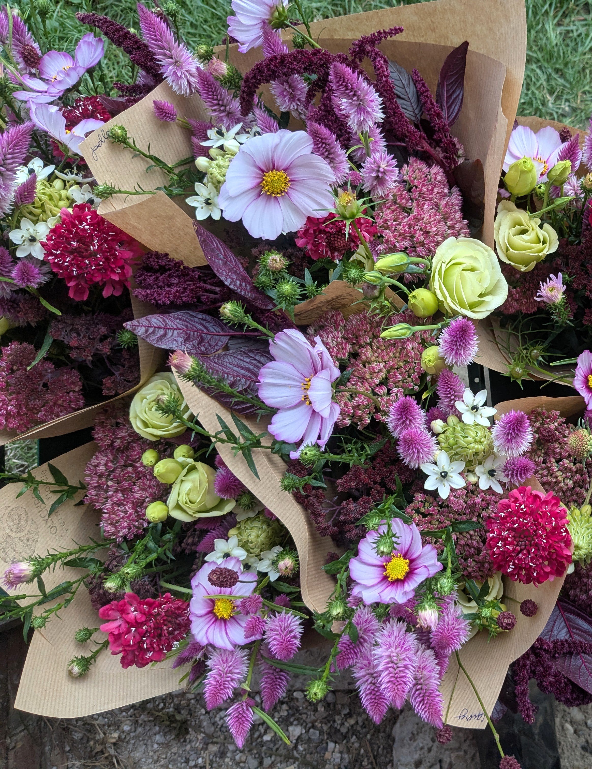 ABONNEMENT 6 BOUQUETS (EURE)