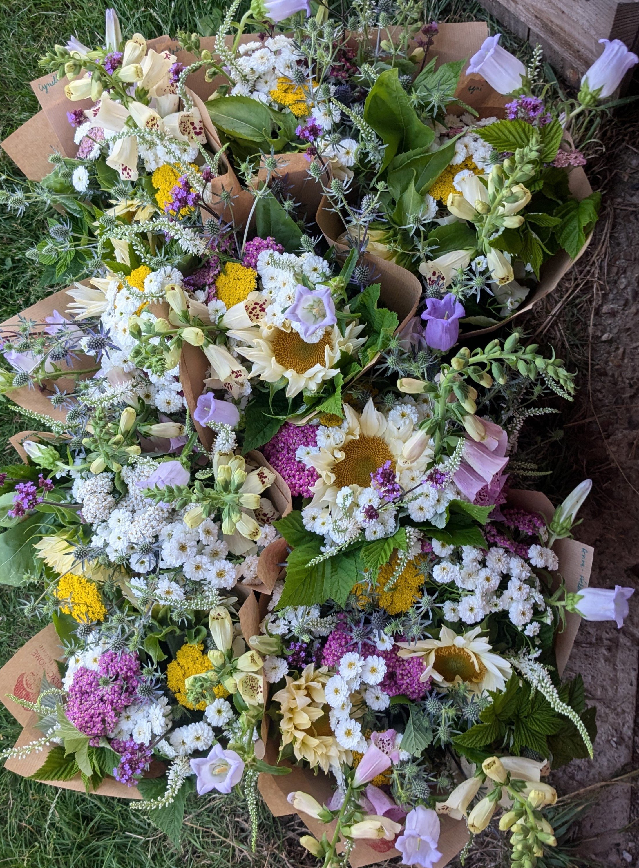 ABONNEMENT 9 BOUQUETS (CAEN)