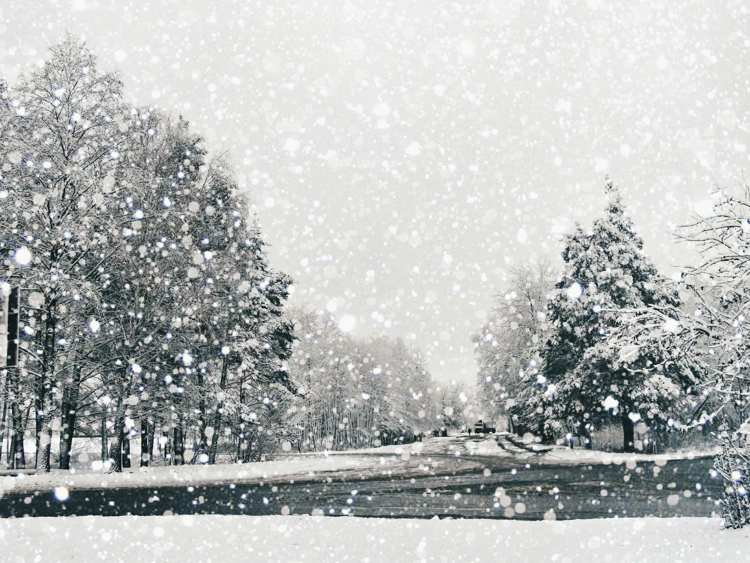 LD1 Winter Update: Cape May County Closures, Service Changes, and Warming Center Operations Ahead of Winter Storm