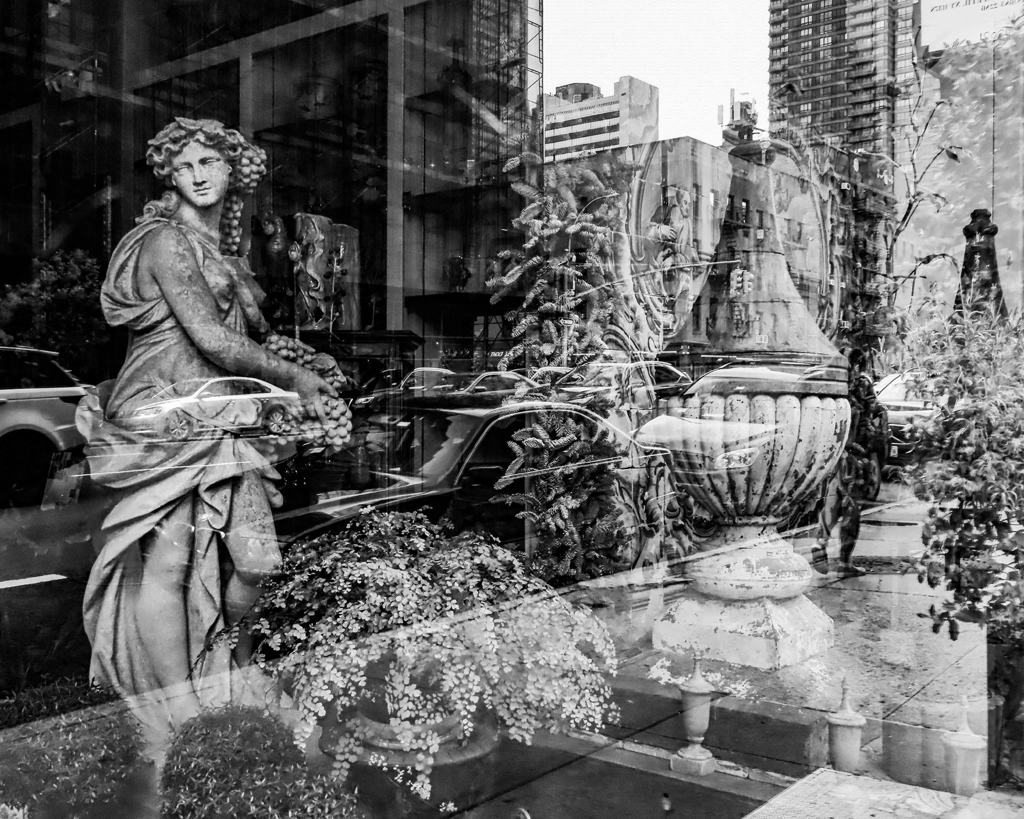 Timeless Reflection 4000-2.jpg