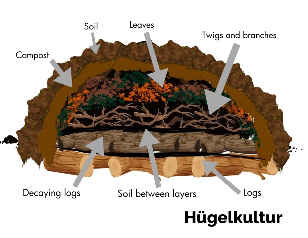 Hugelkultur: Gardening Techniques for Climate Change