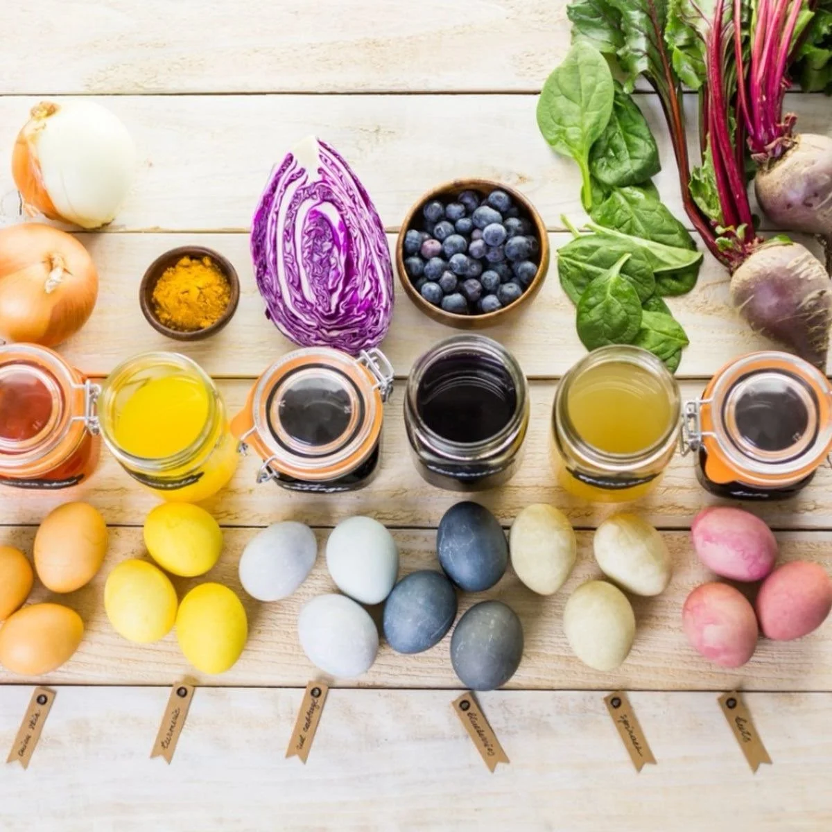 Create Natural Dyes Using Invasive Plants!