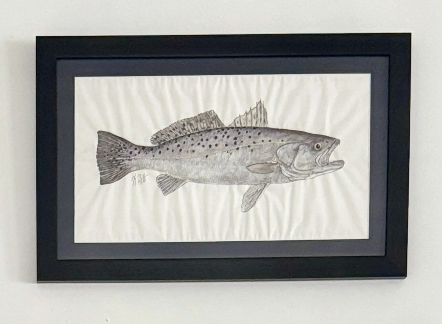 Speckled Sea Trout