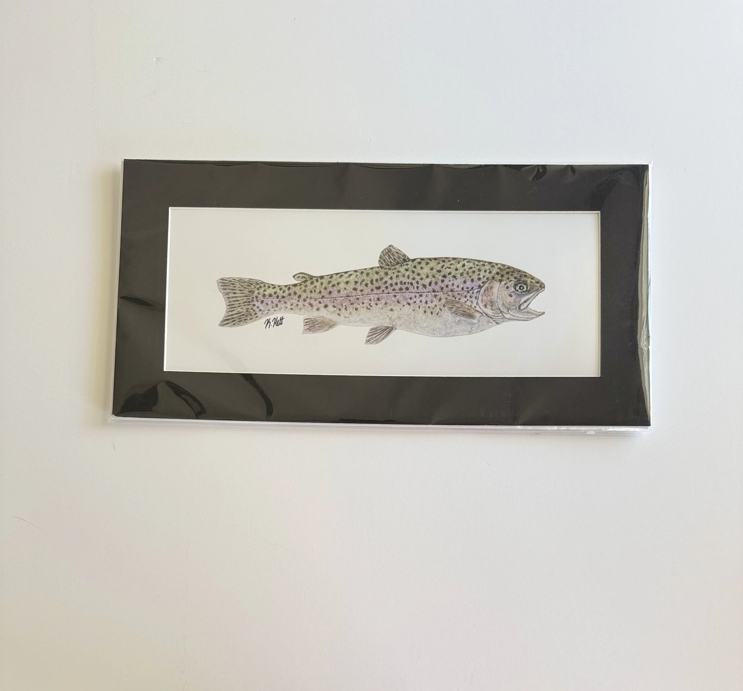 Rainbow Trout_matted print_front.jpg