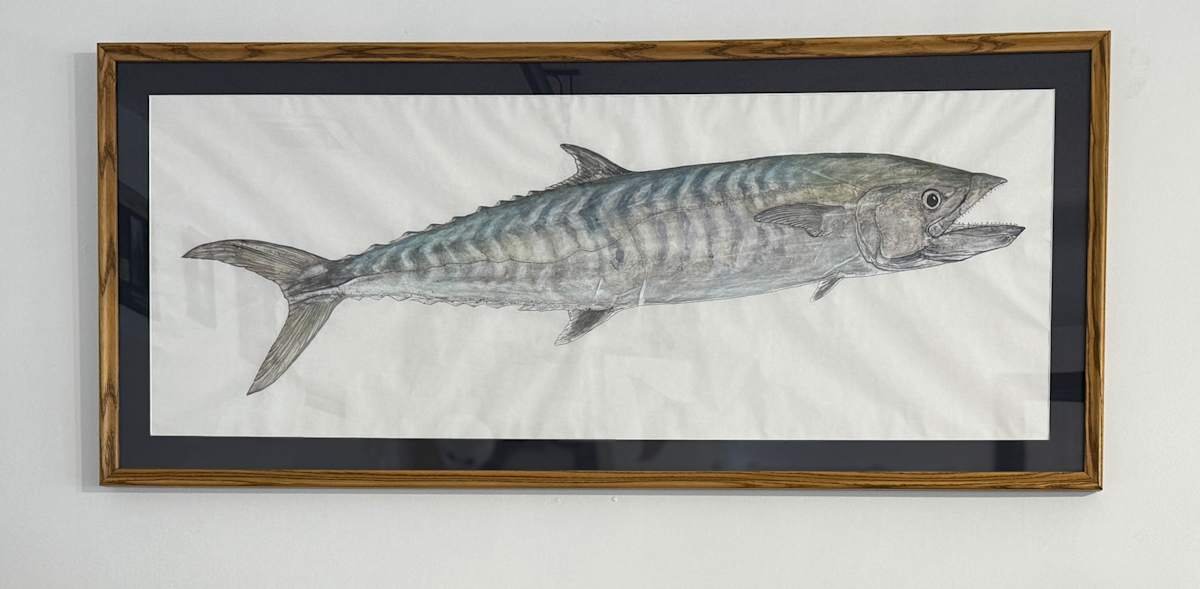 King Mackerel