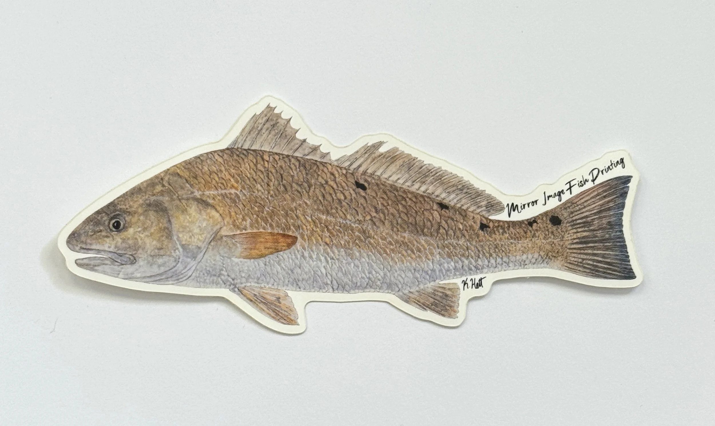 Redfish