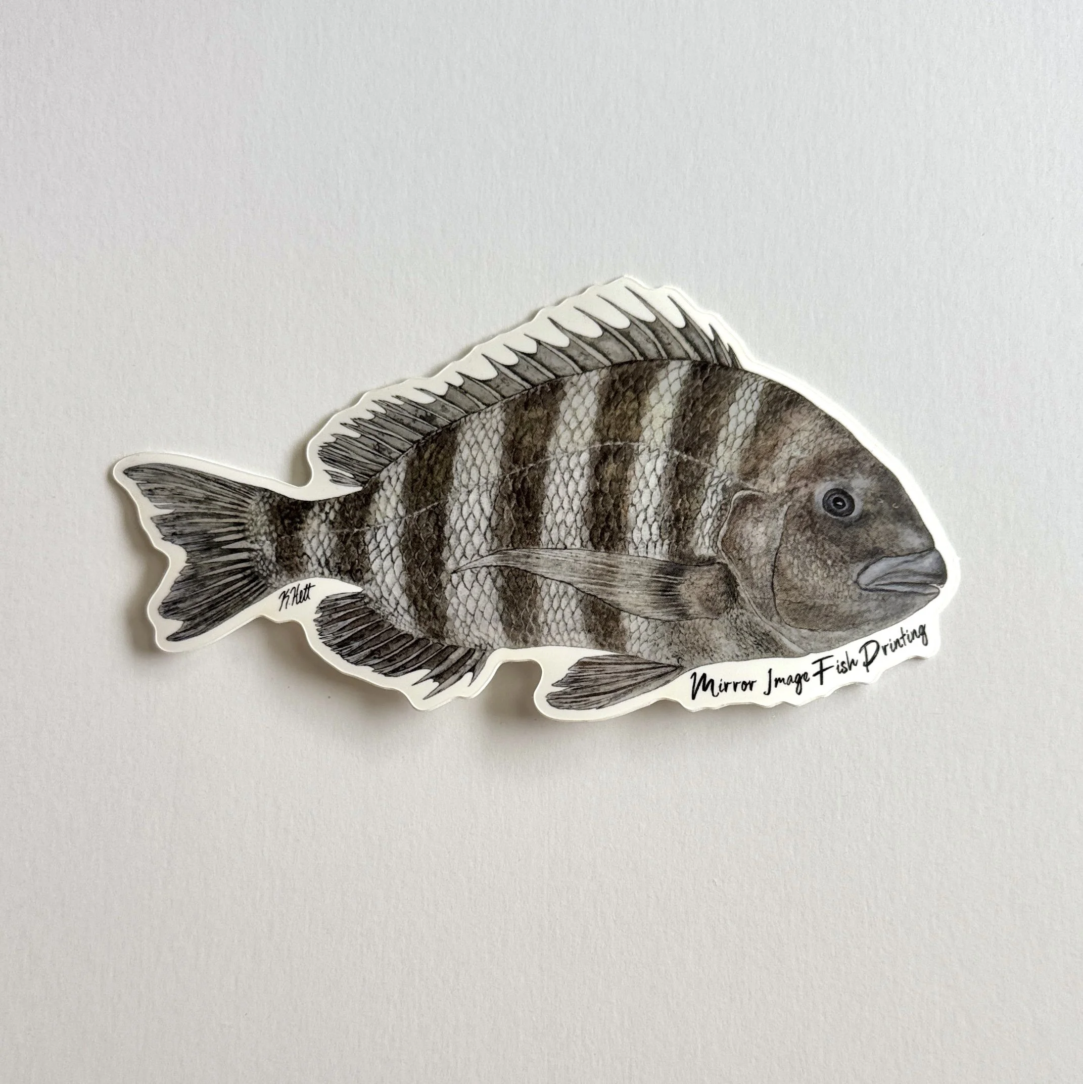 Sheepshead