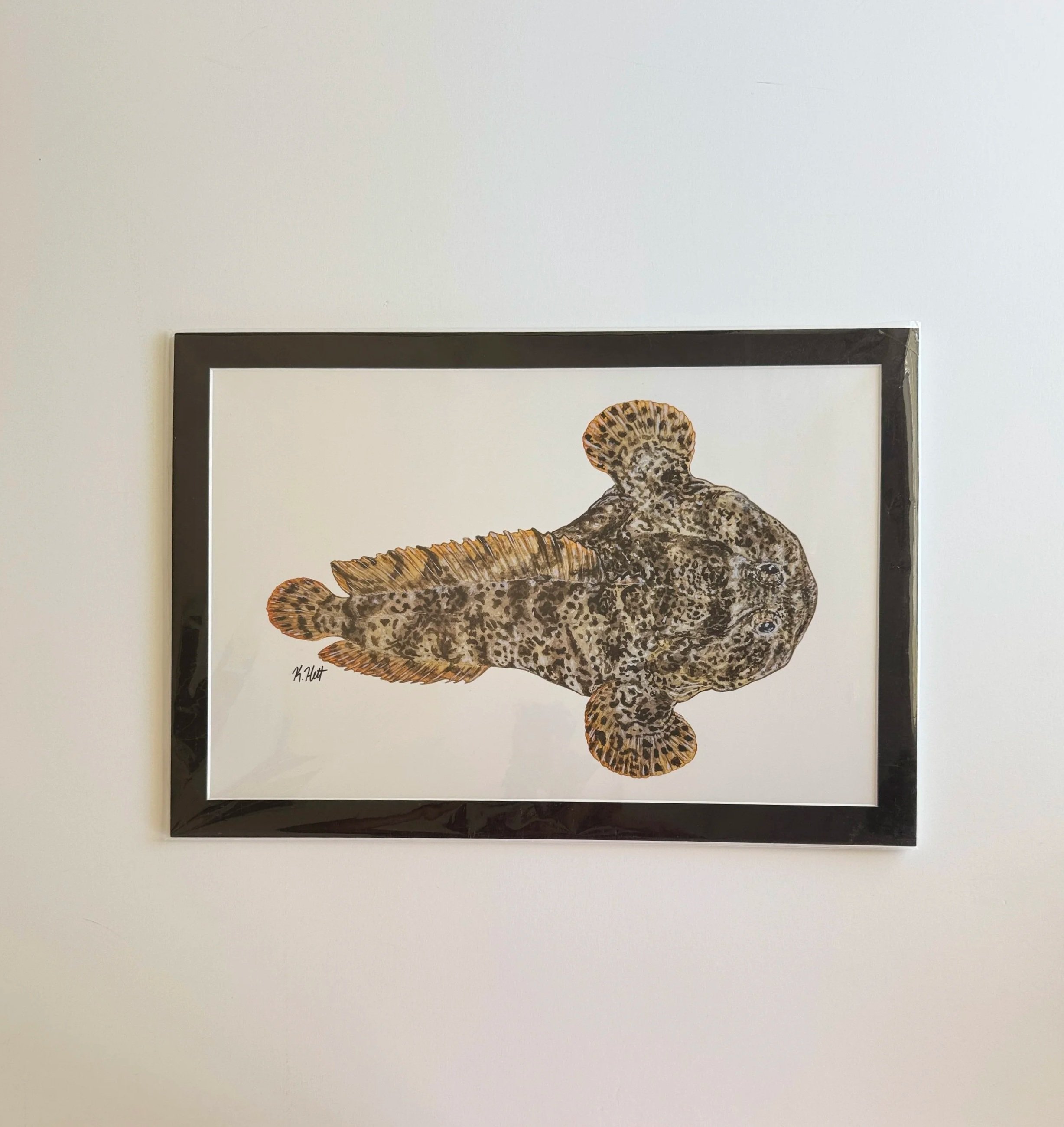 Oyster+Toadfish_matted+print_front.jpg