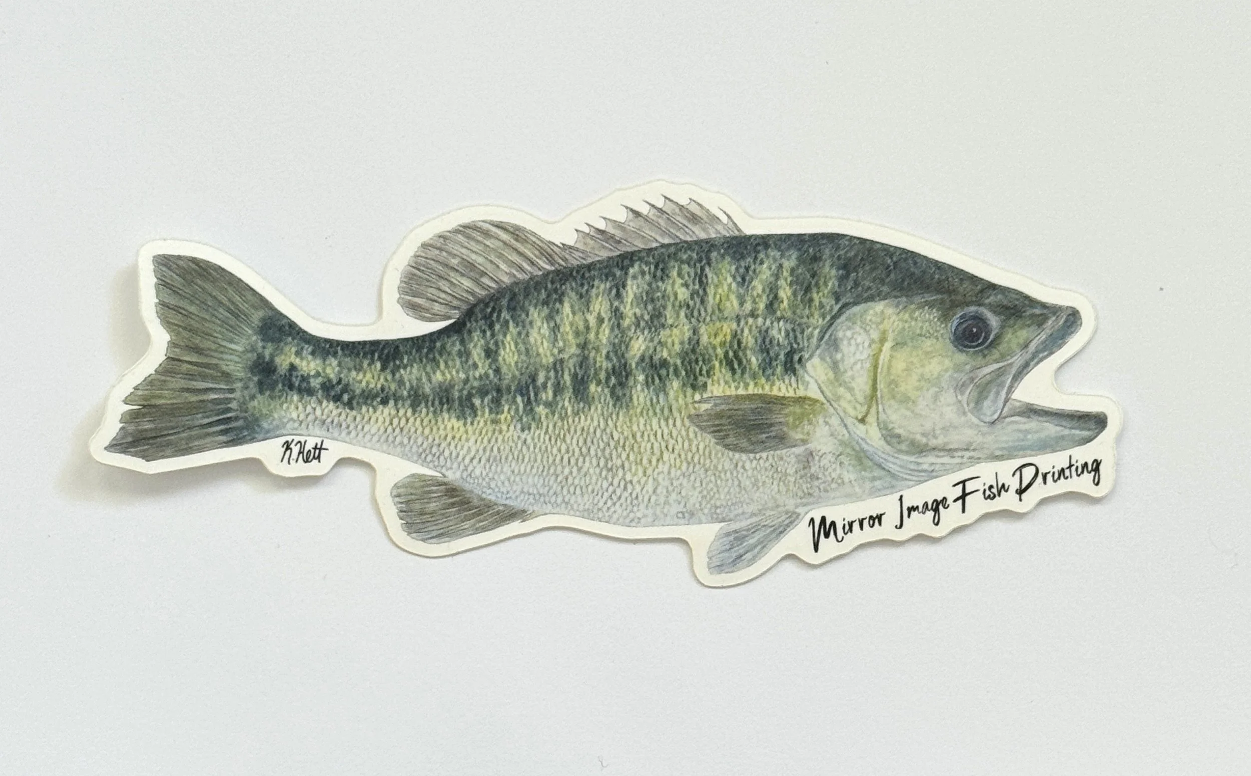 Spotted Bass