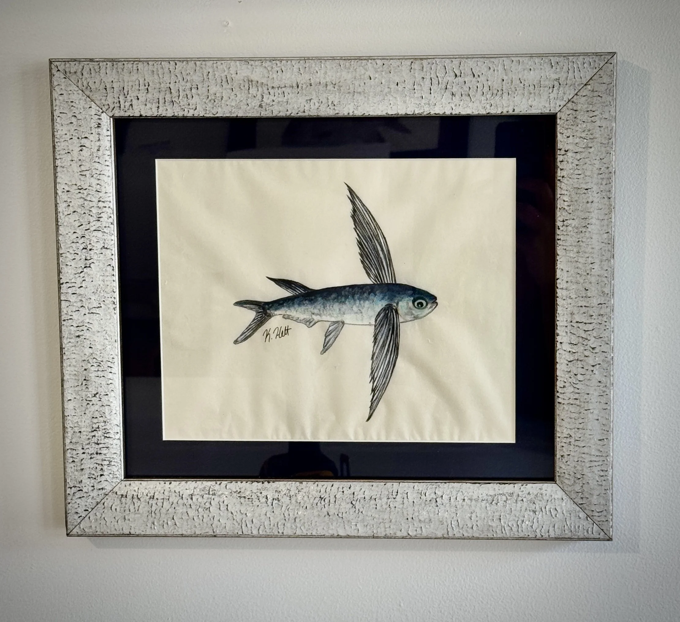 Flying Fish IV.jpg