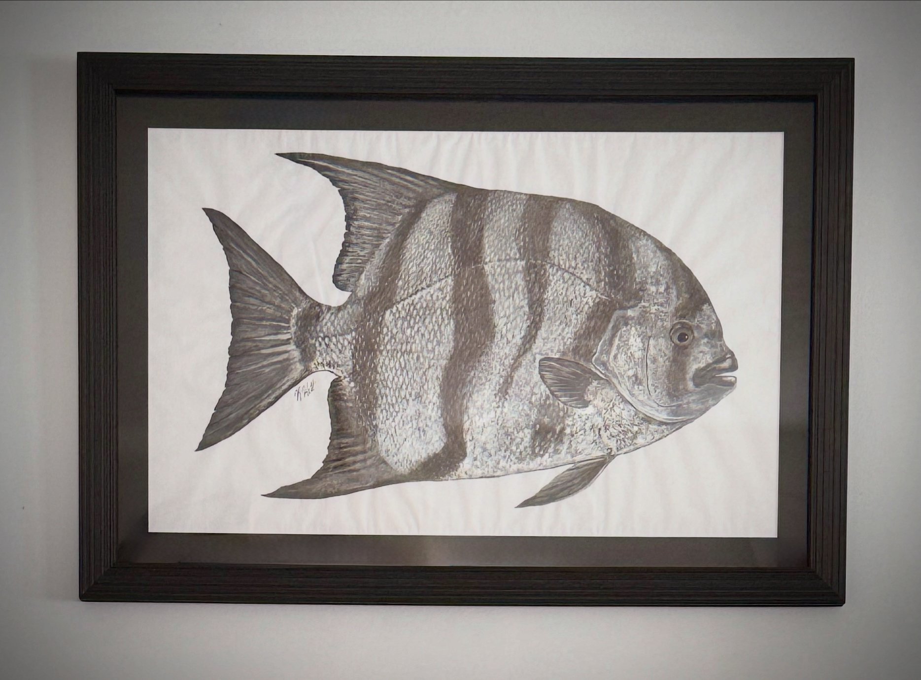 Framed black and white drawing of a fish with detailed scales and fins on a white background.