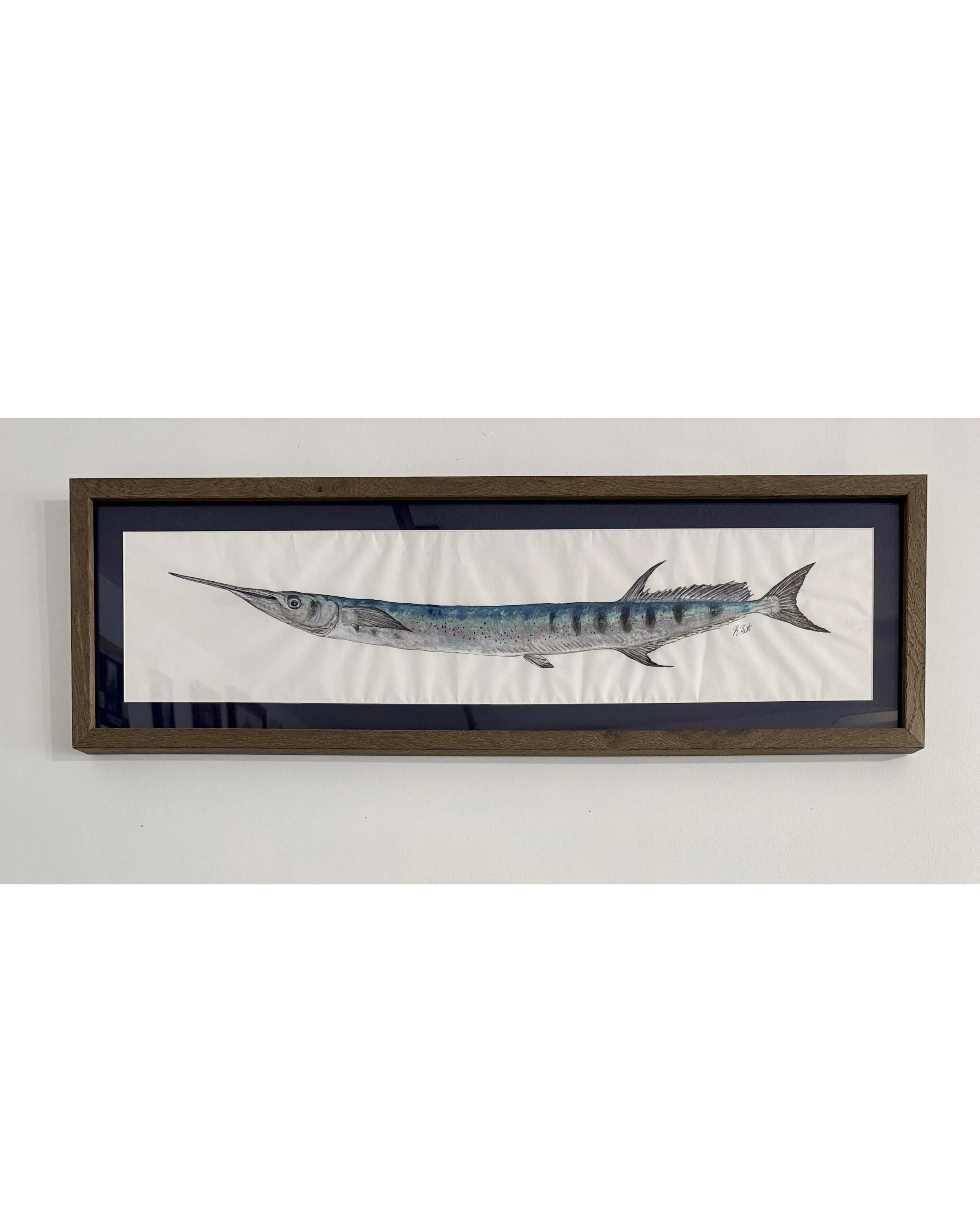 Houndfish.jpg