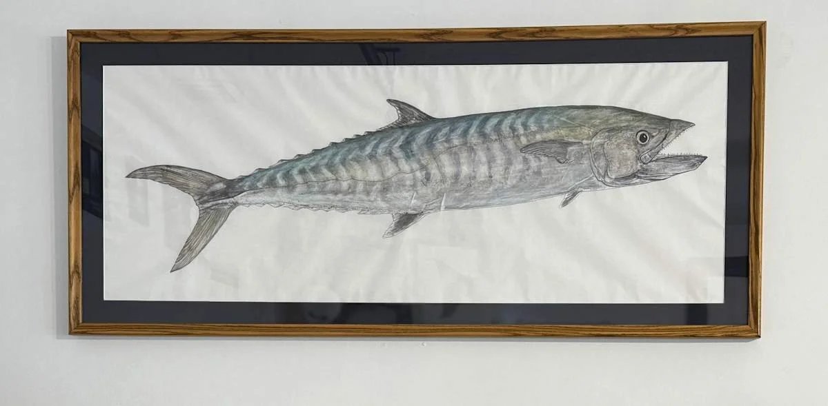 King Mackerel 
17" x 40" 
$800