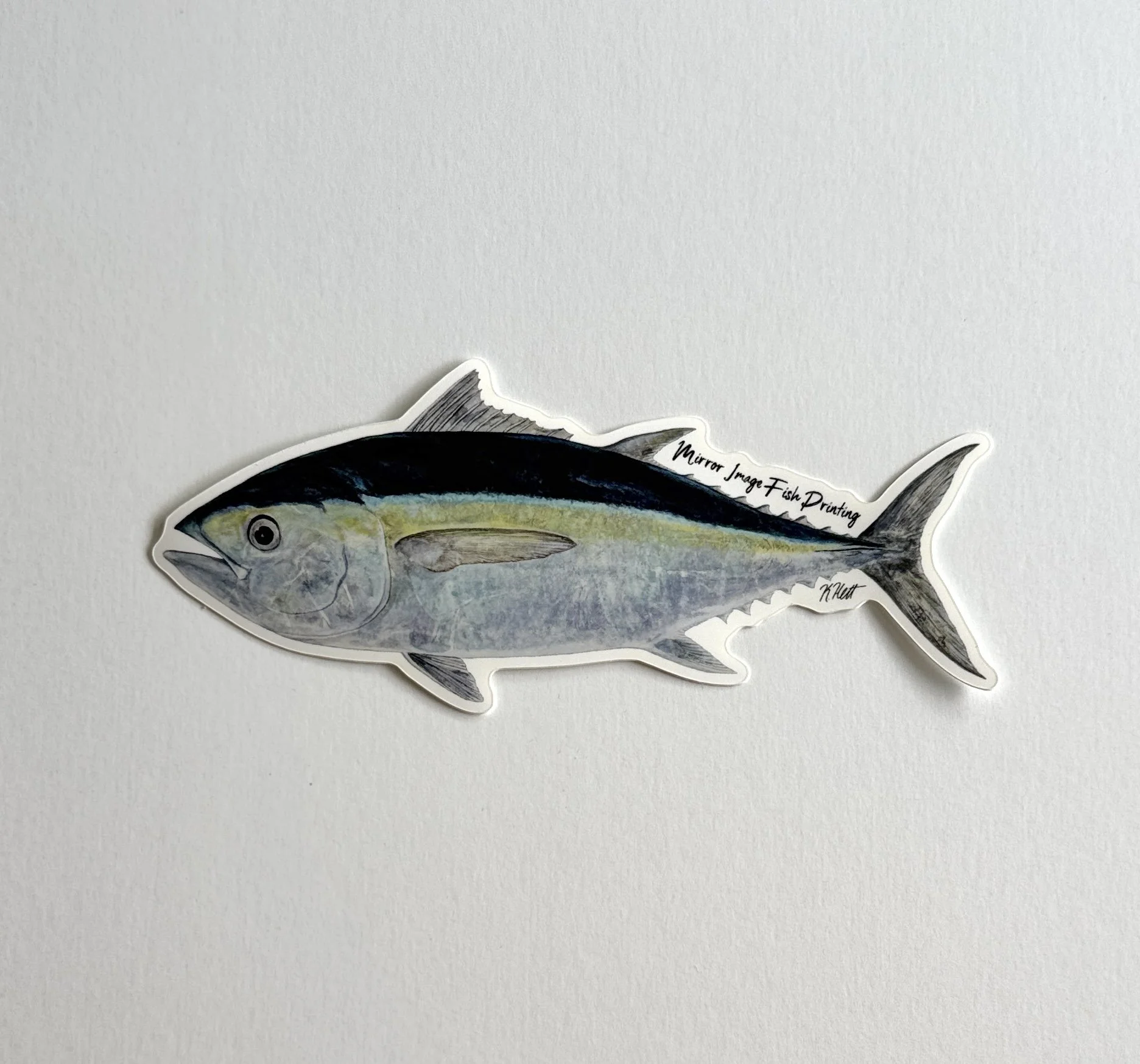 Blackfin Tuna