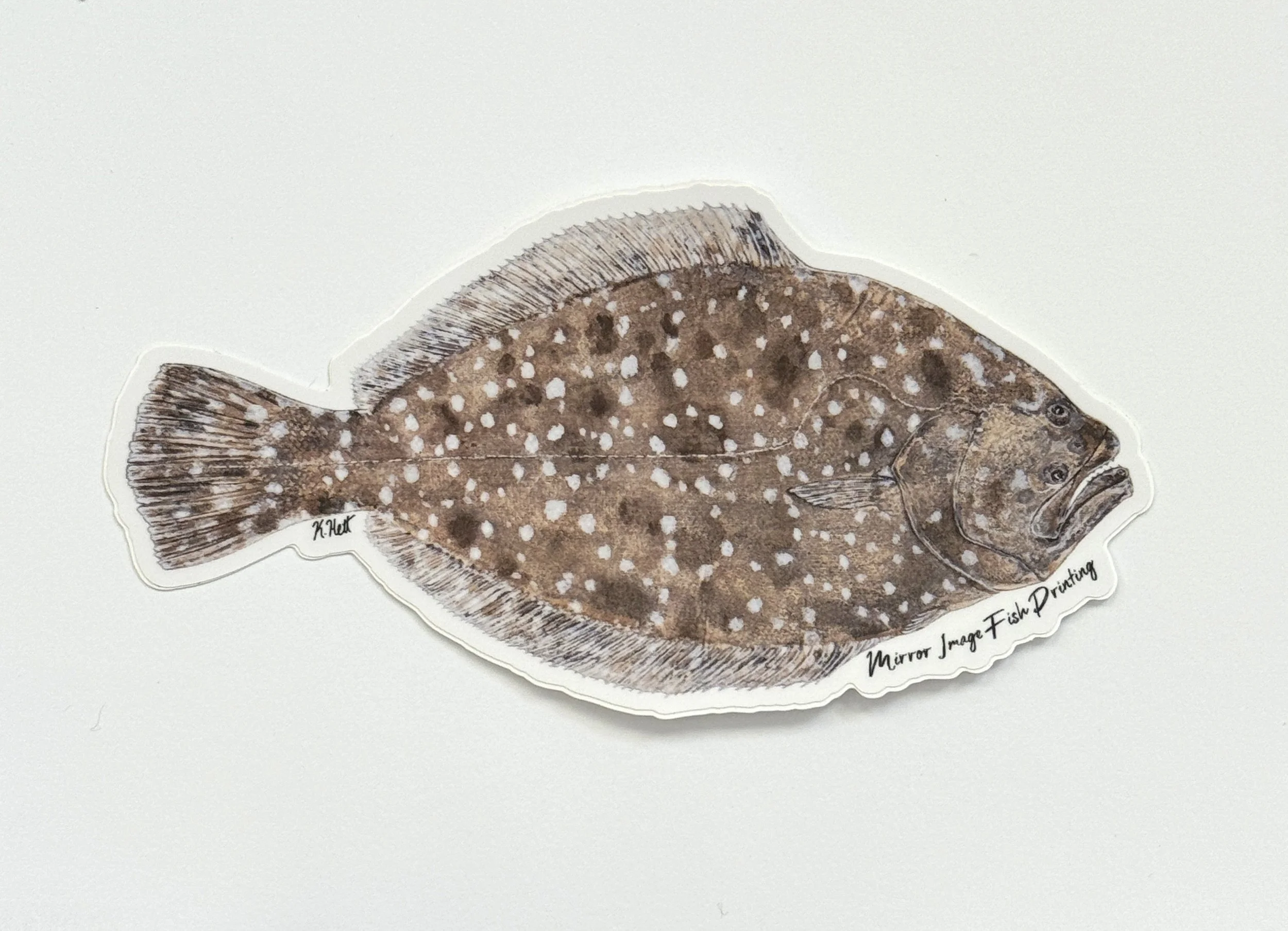 Southern Flounder