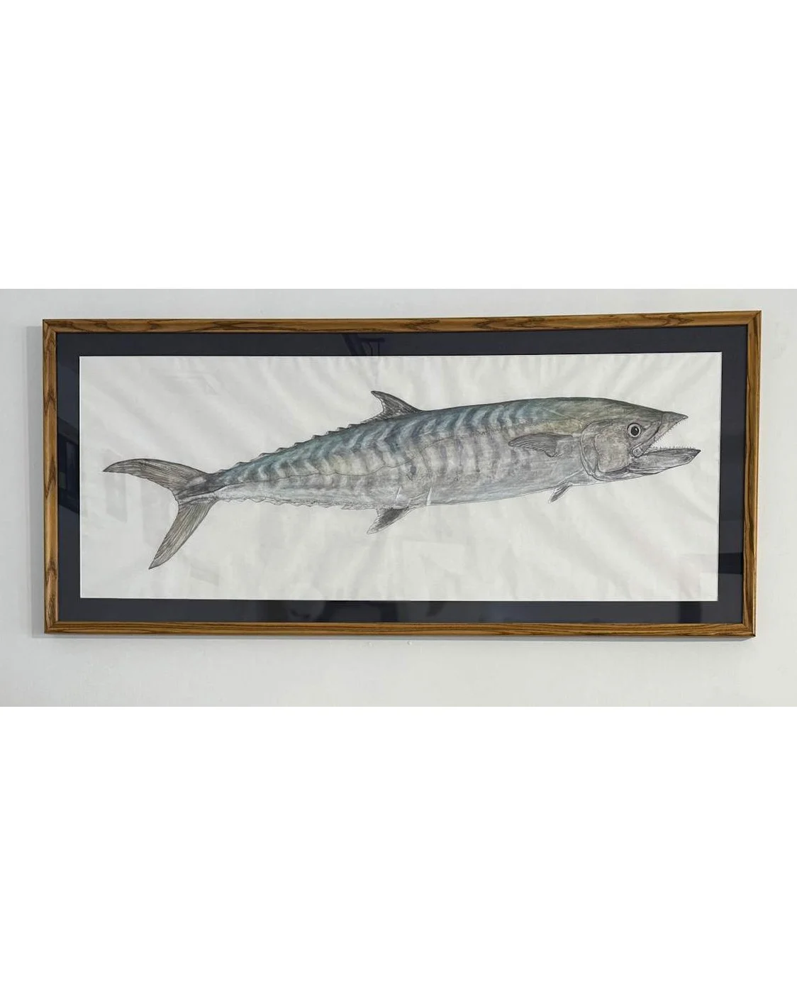 King Mackerel.jpg
