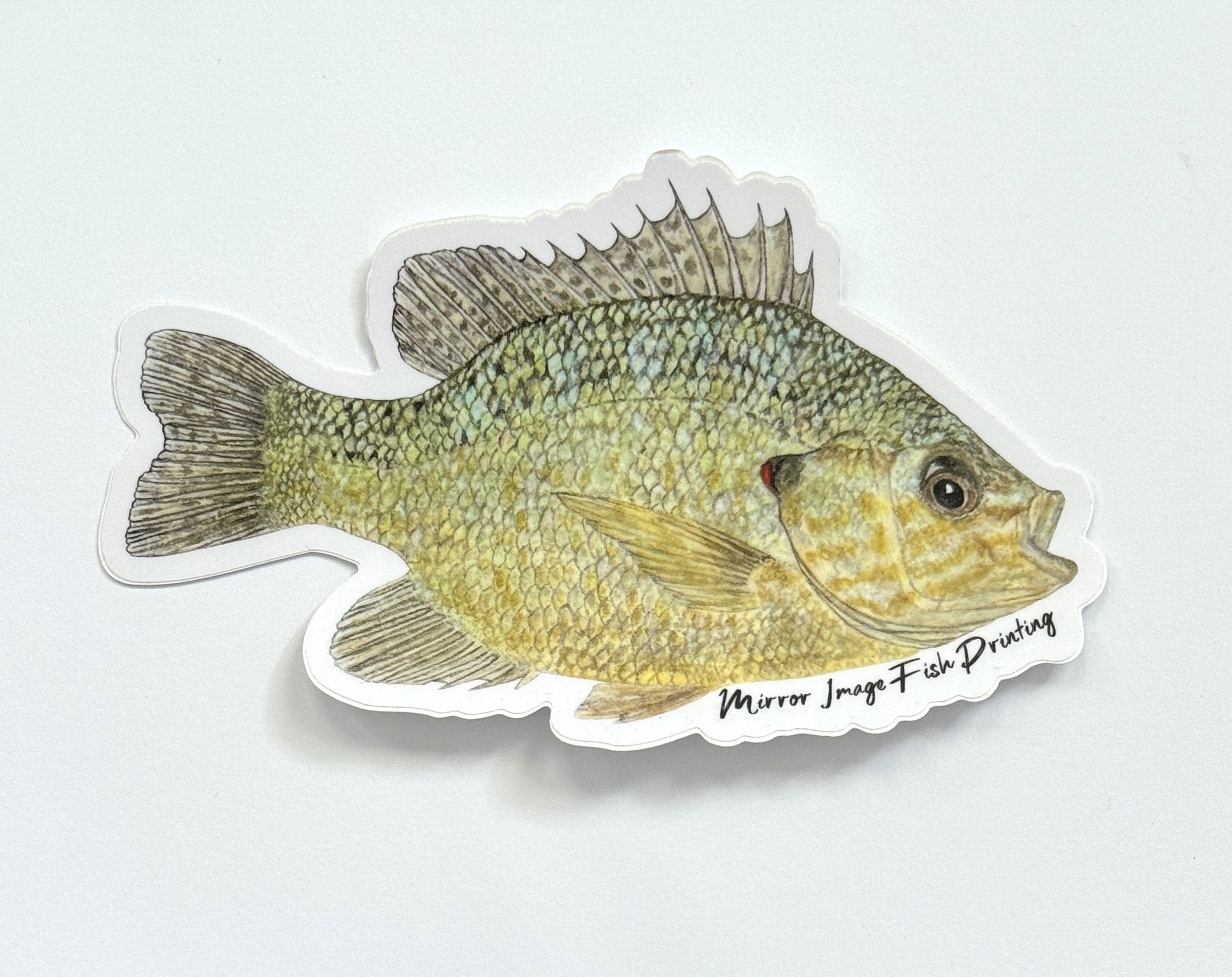 Pumpkinseed Sunfish