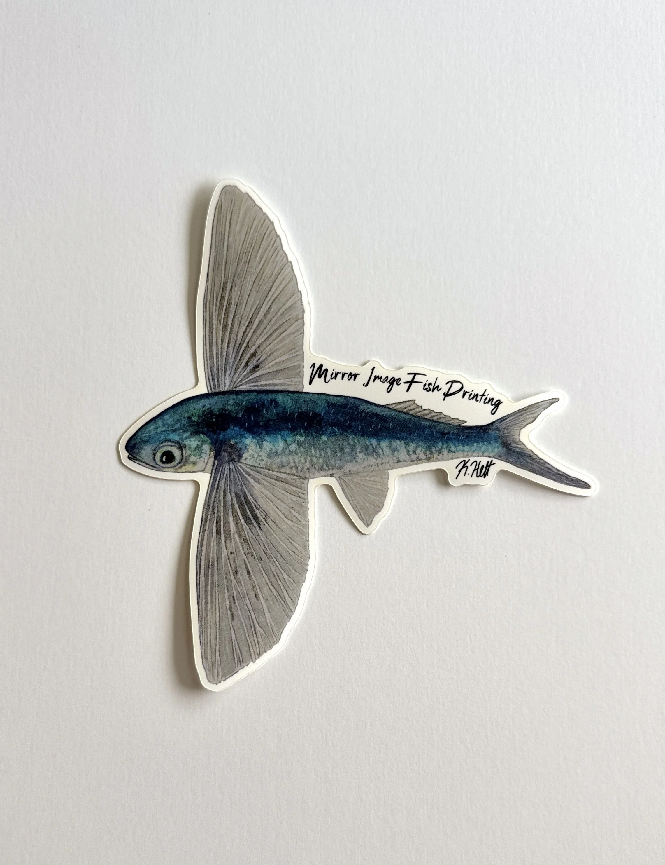 Flying Fish