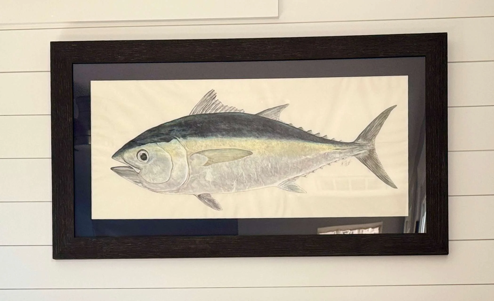 Blackfin Tuna 
20" x 40" 
$1200
