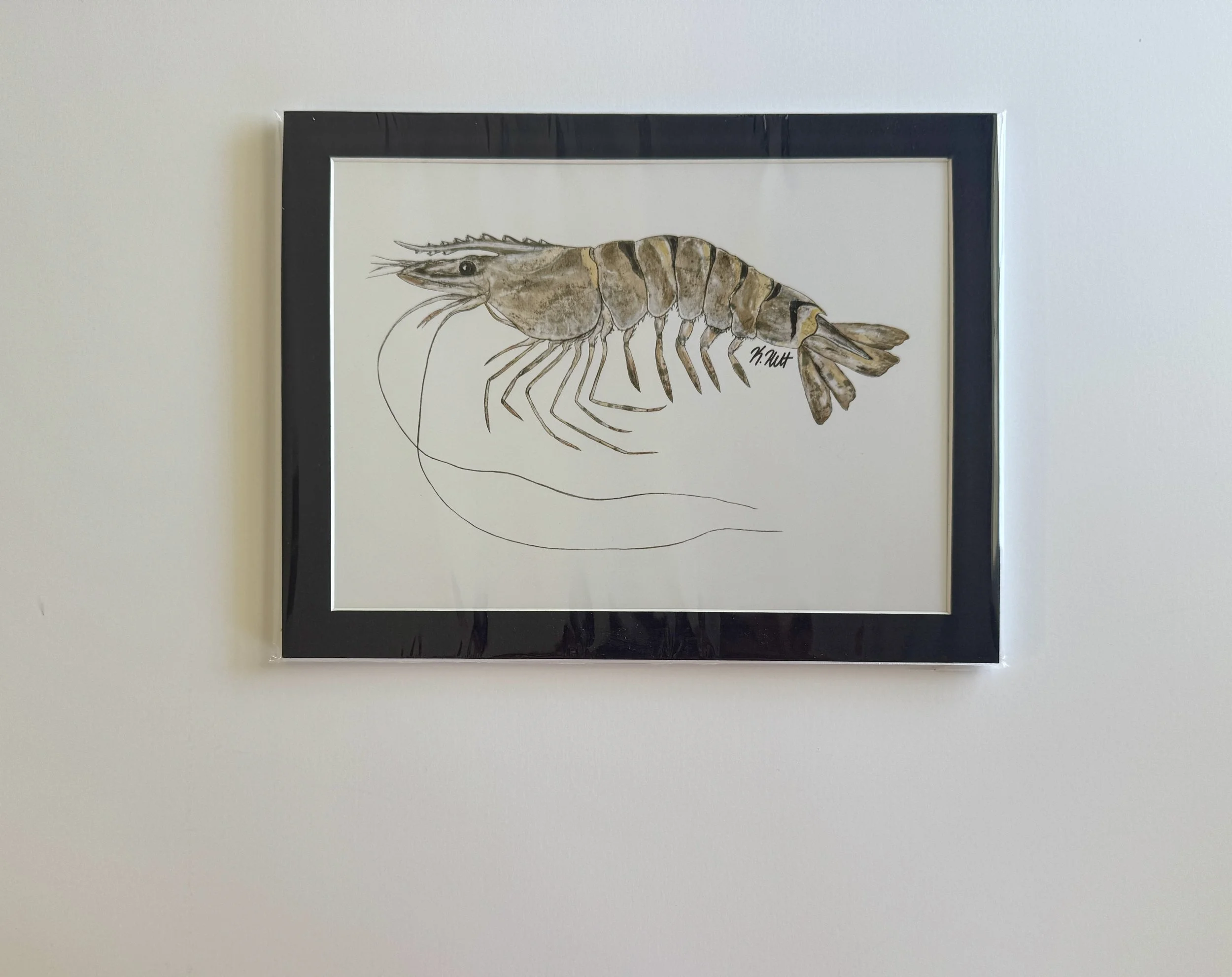 Tiger Shrimp_ matted print_front.jpg