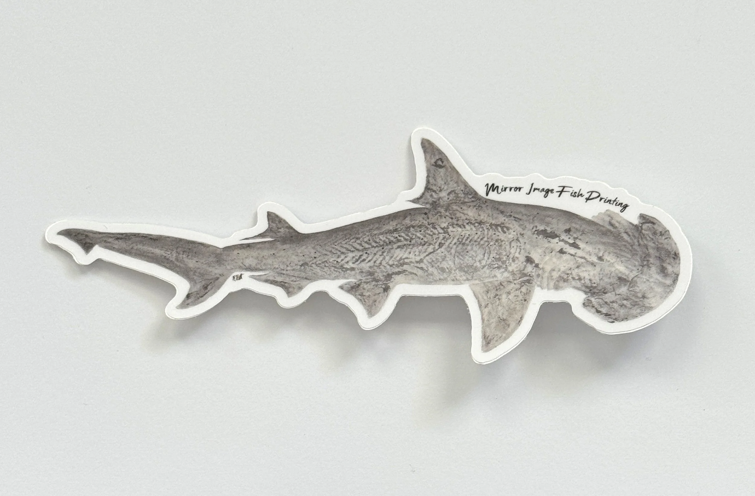 Bonnethead Shark