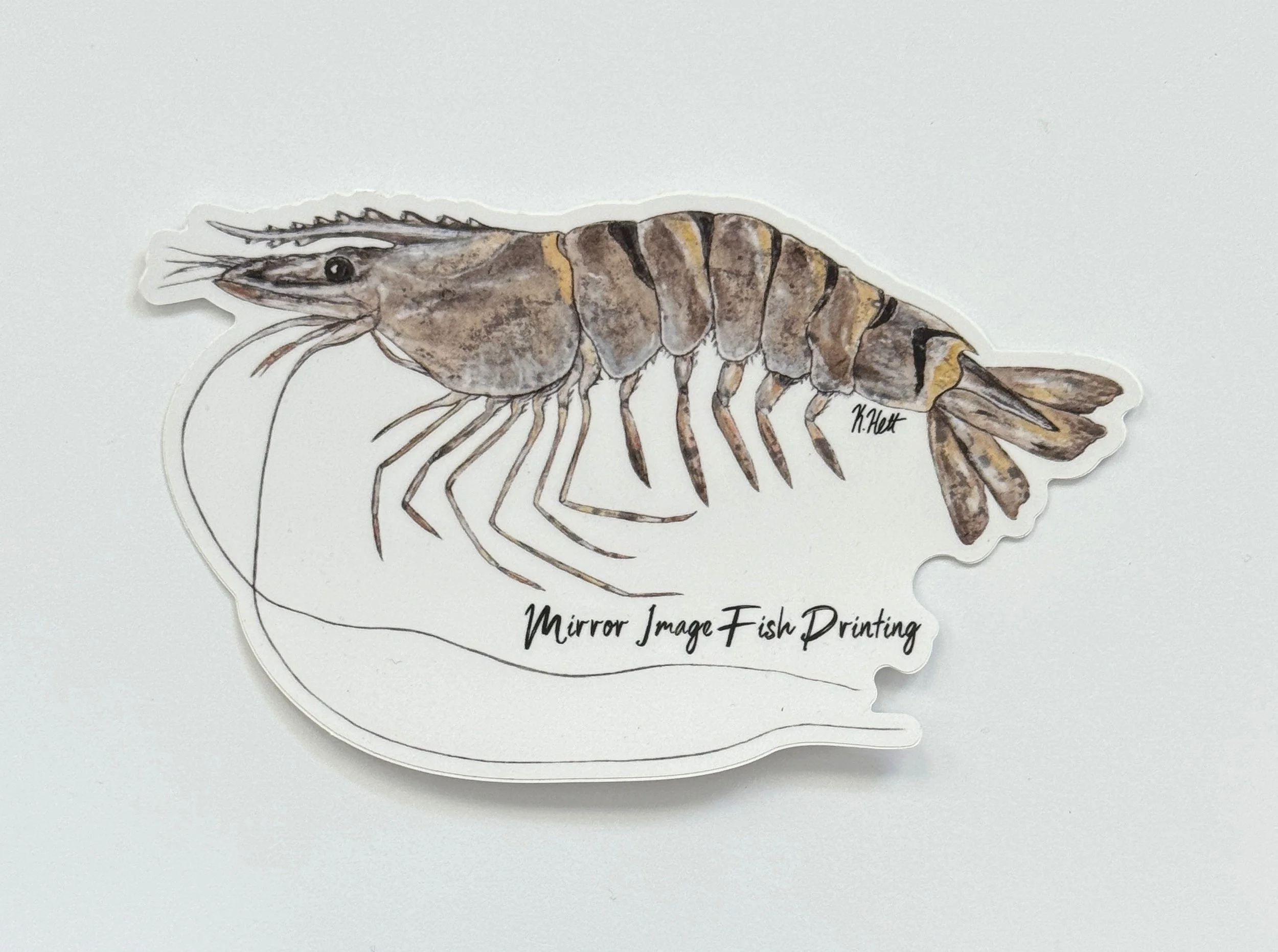 Tiger Shrimp
