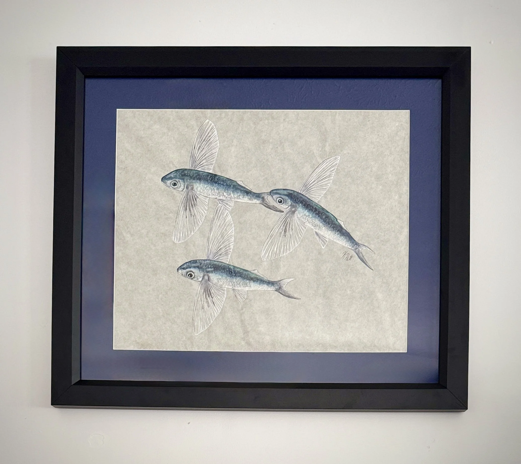 School of Flying Fish 