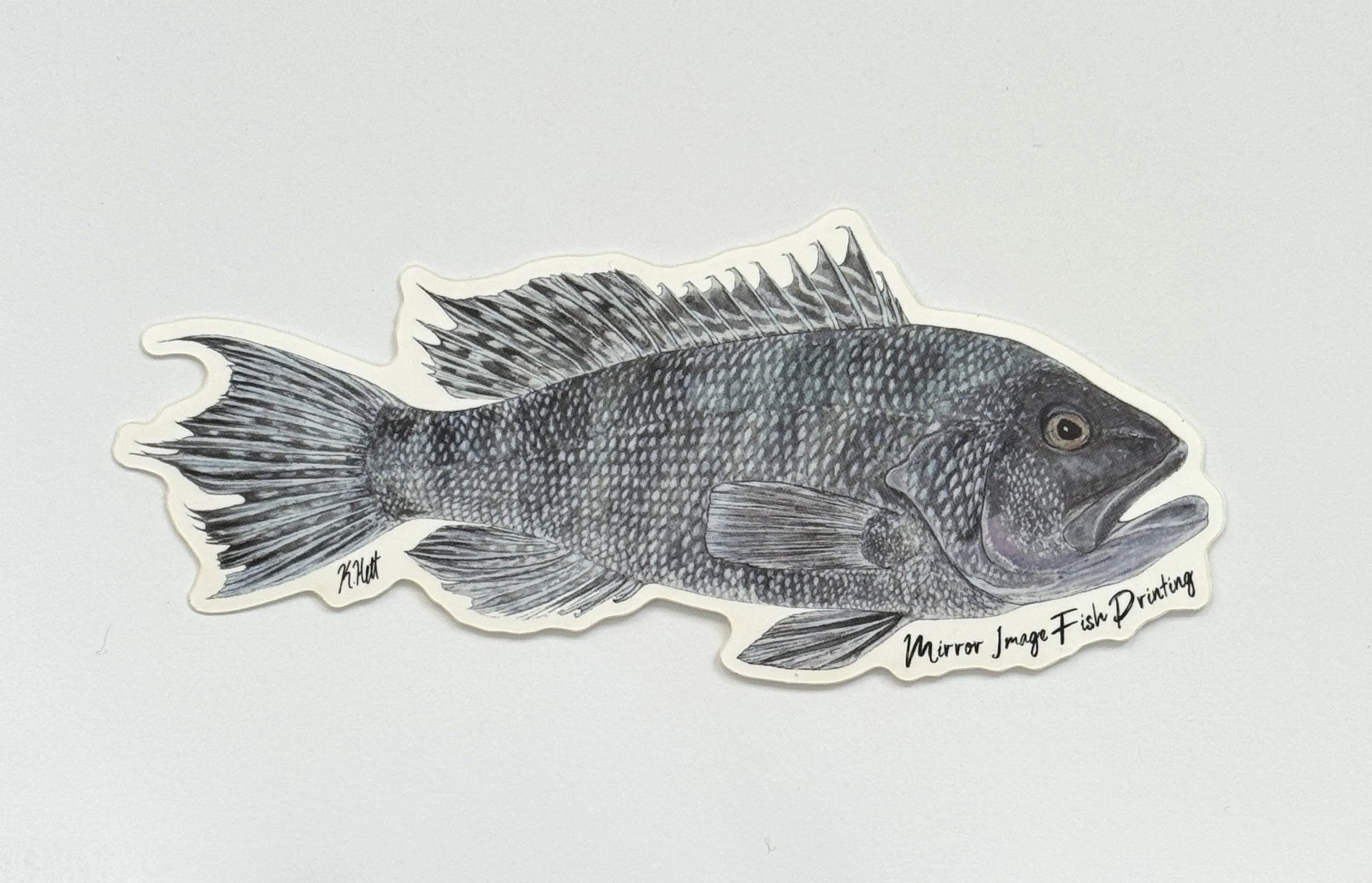 Black Sea Bass