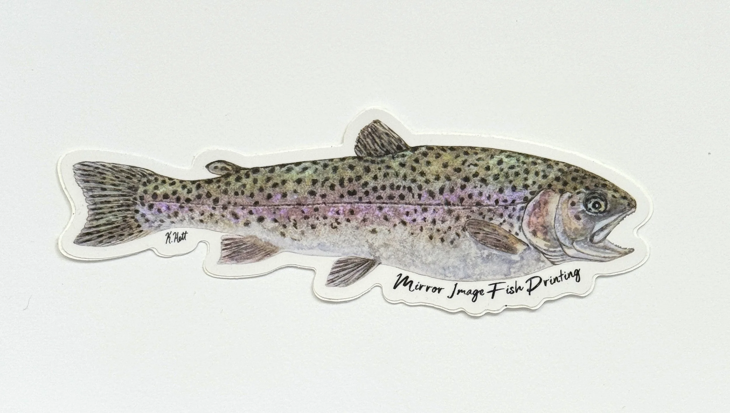 Rainbow Trout