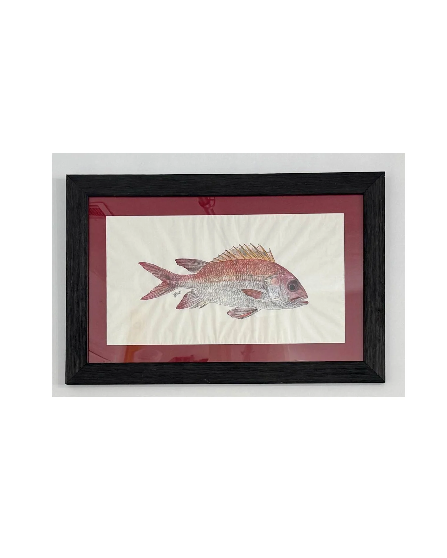 Squirrel Fish.jpg