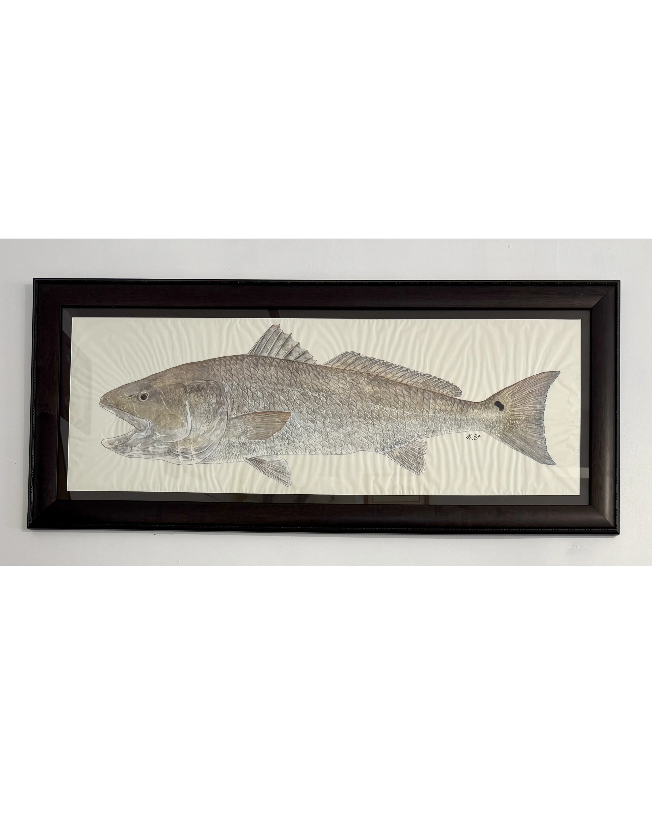 Bull Redfish.jpg