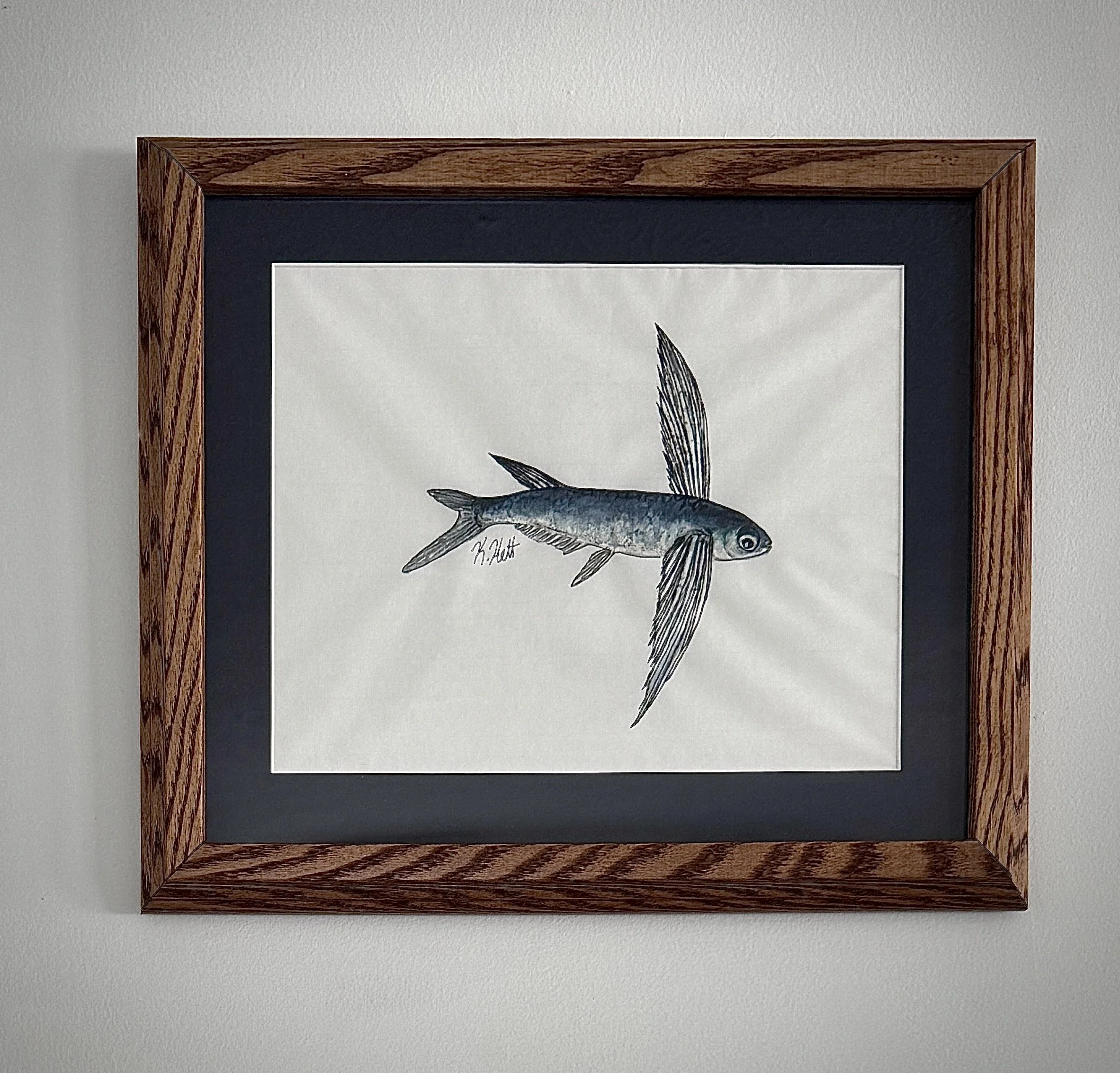 Flying Fish V.jpg