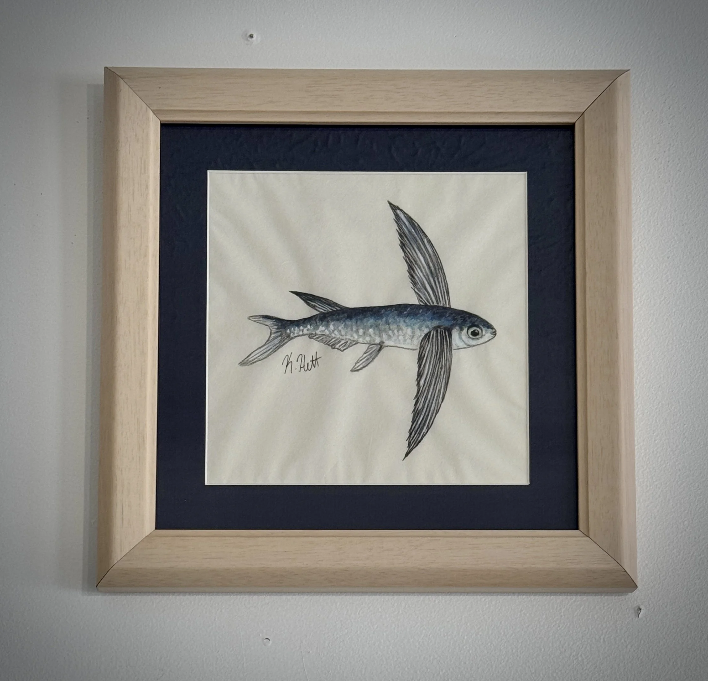 Flying Fish II.jpg