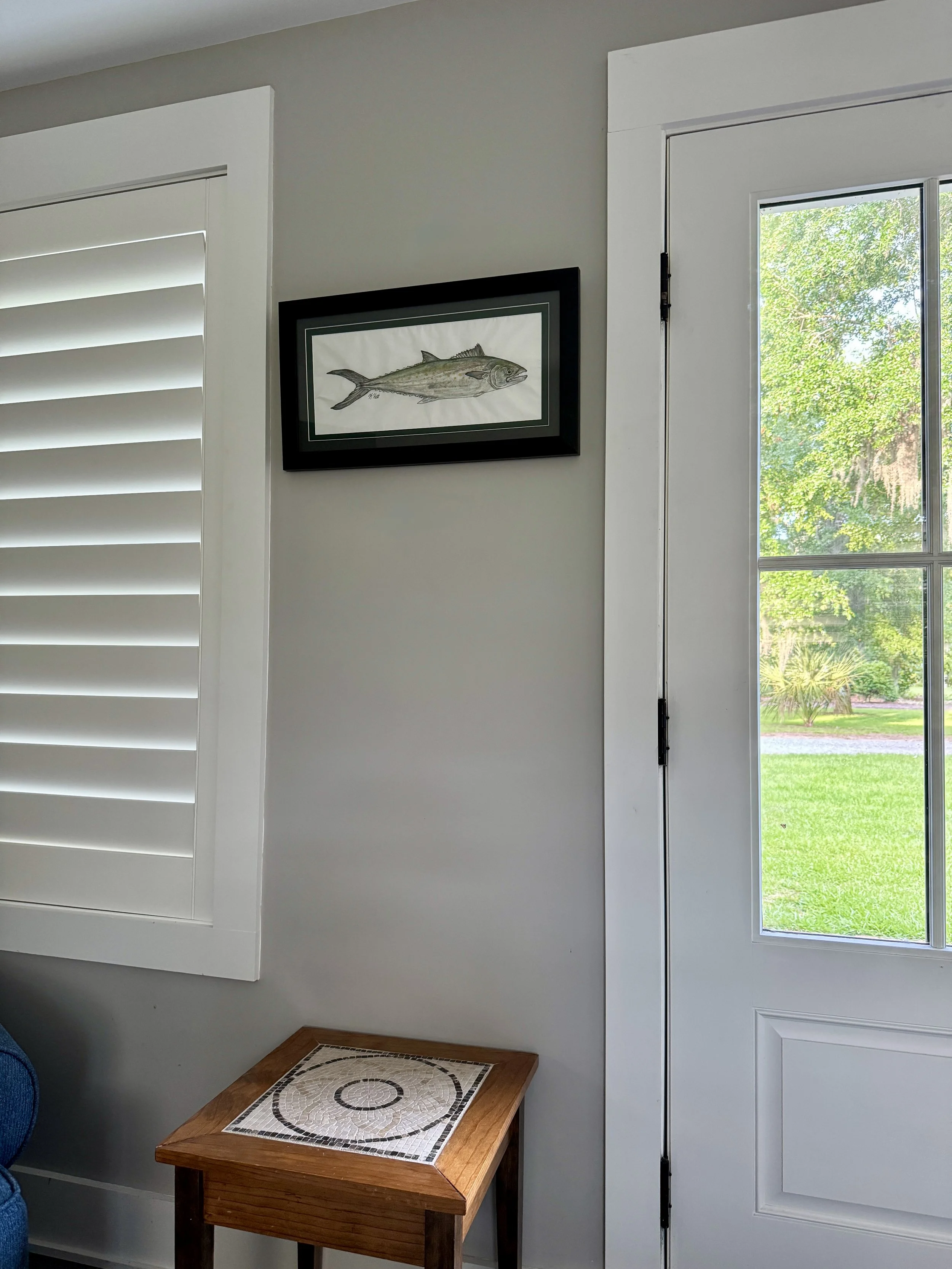 Spanish Mackerel_ In situ.jpg