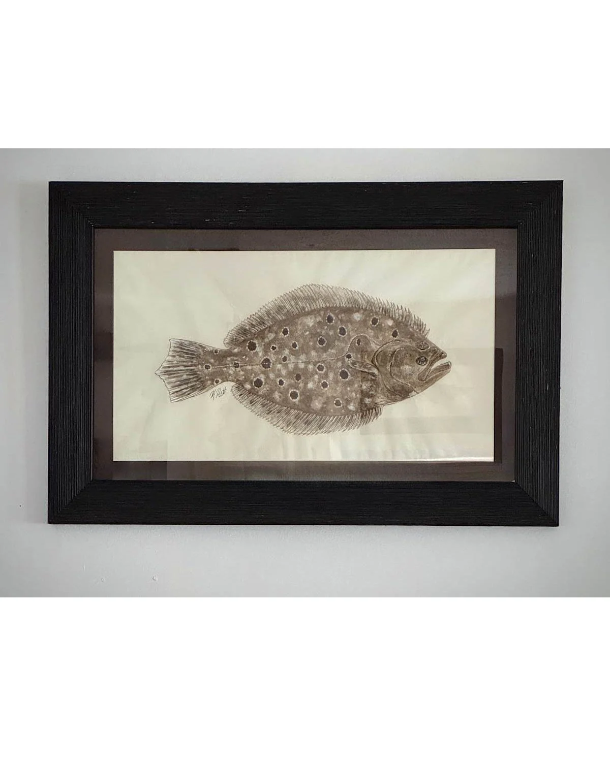Summer Flounder