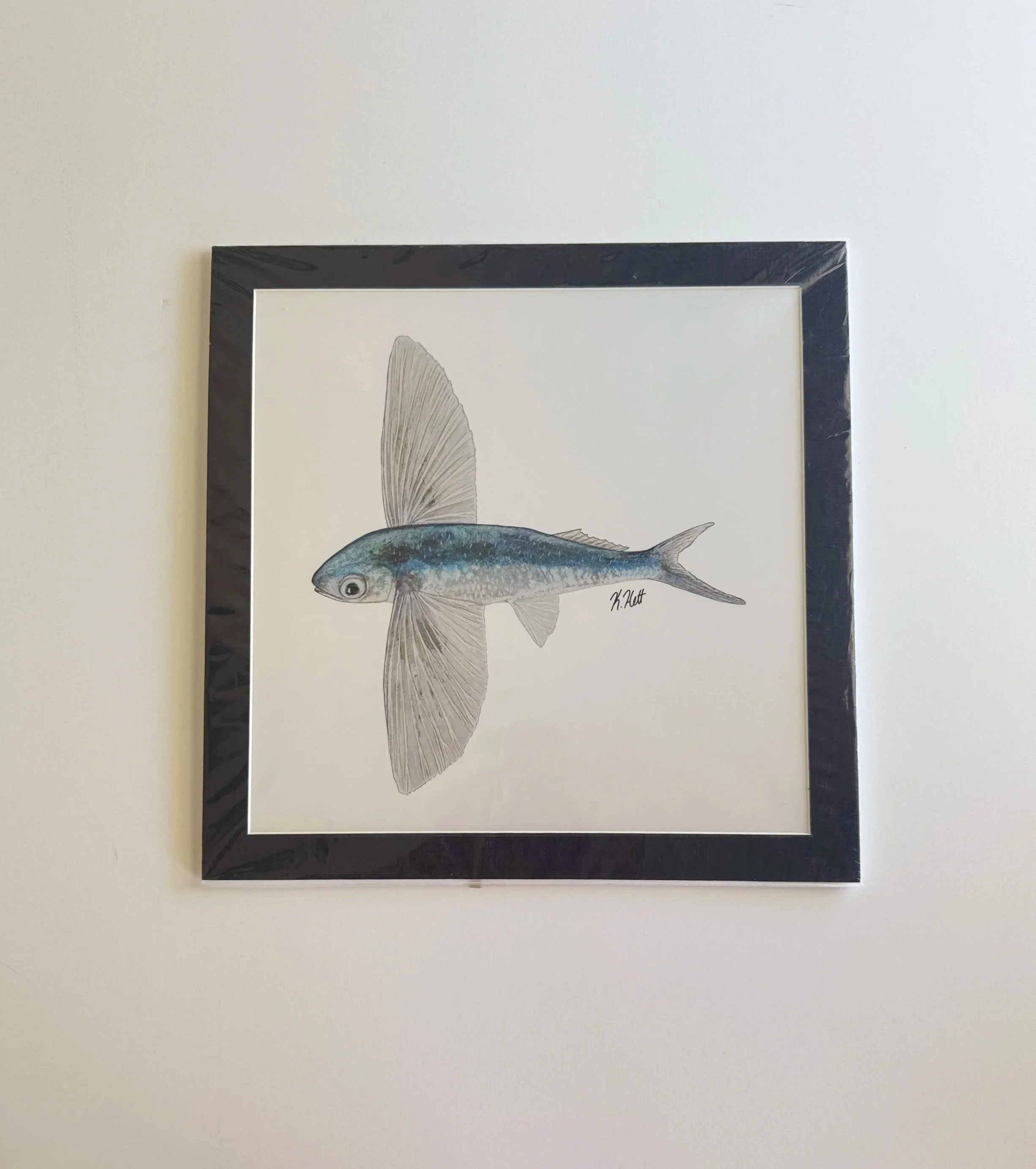 Flying+Fish_matted+print_front.jpg
