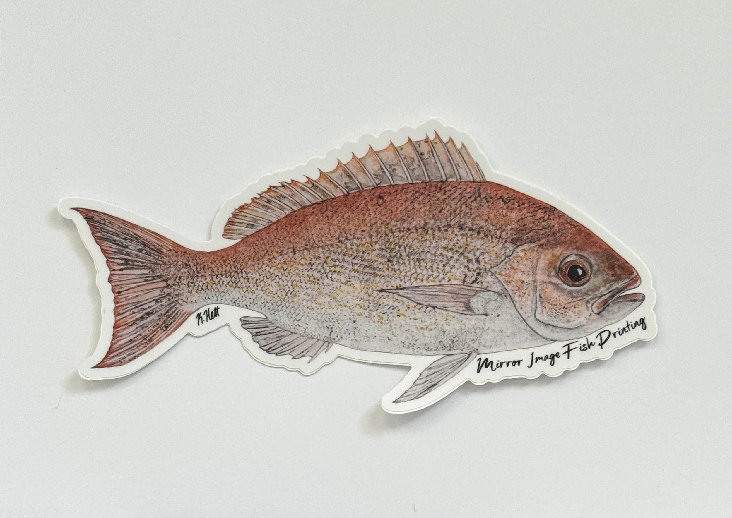 Vermilion Snapper