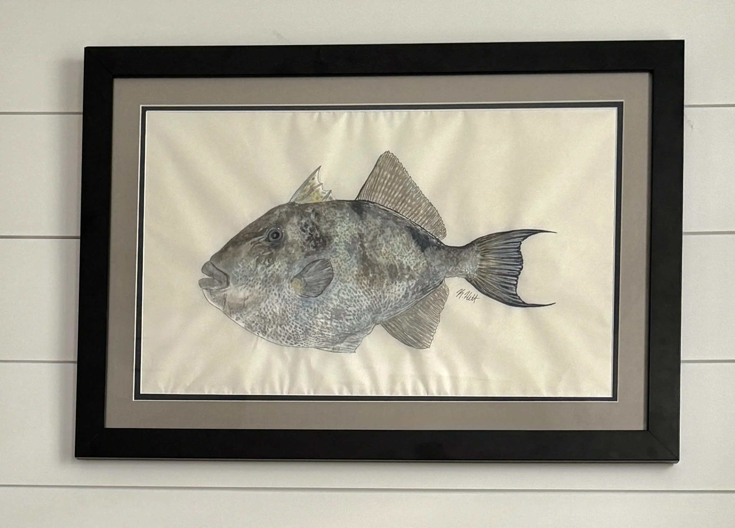 Triggerfish.jpg
