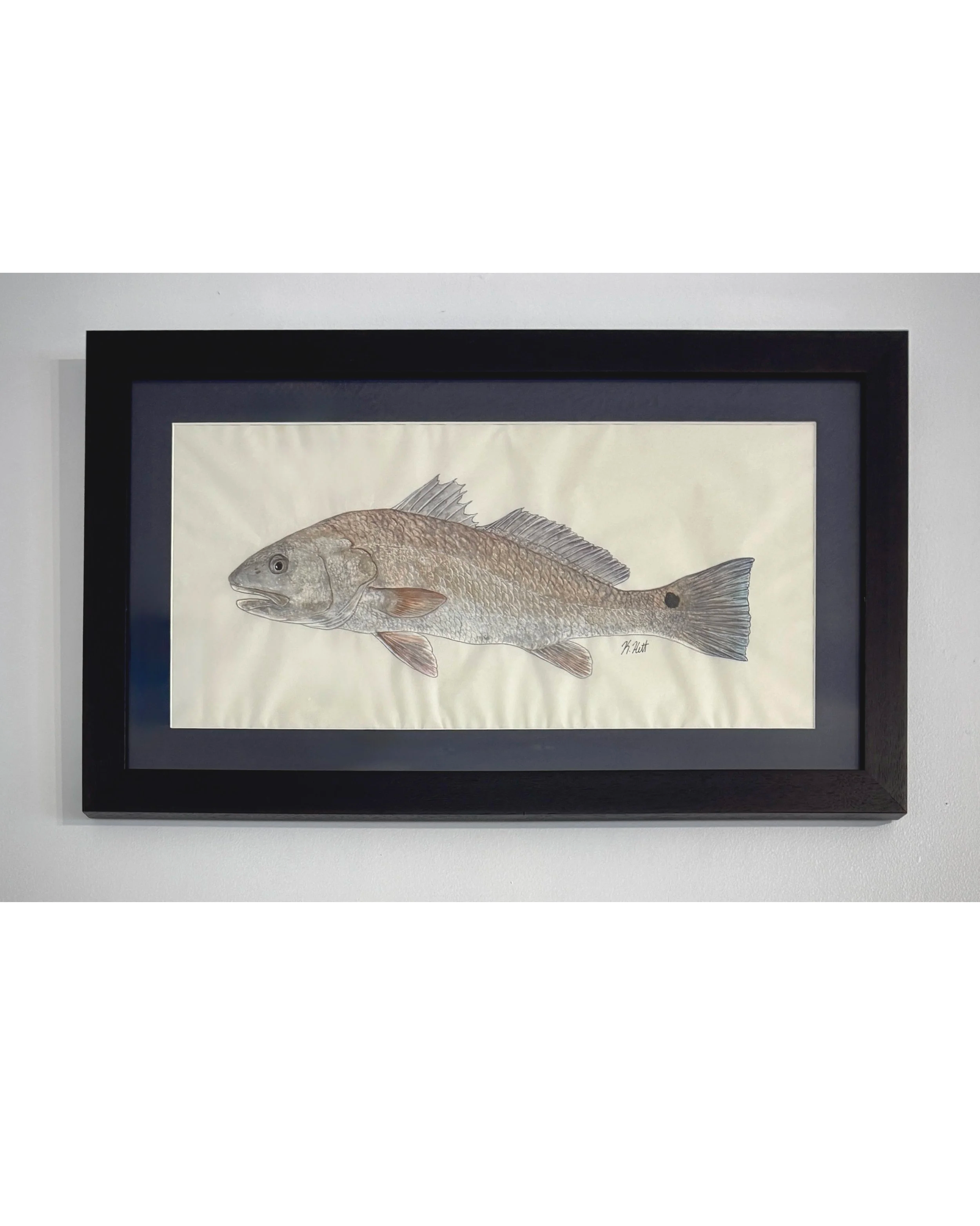 Redfish.png