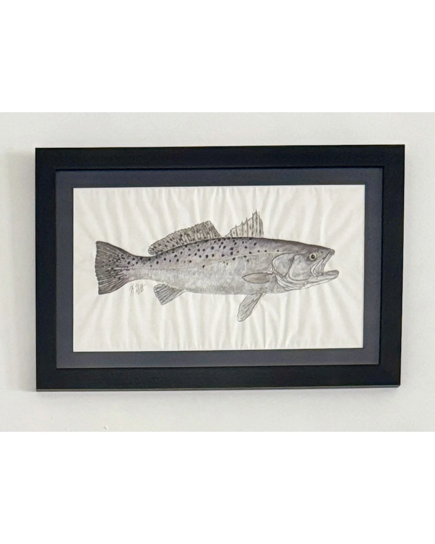 Speckled Trout.jpg