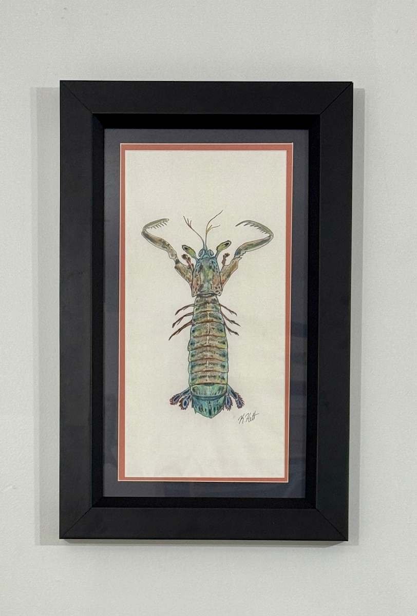 Mantis Shrimp 
18" x 10" 
$420