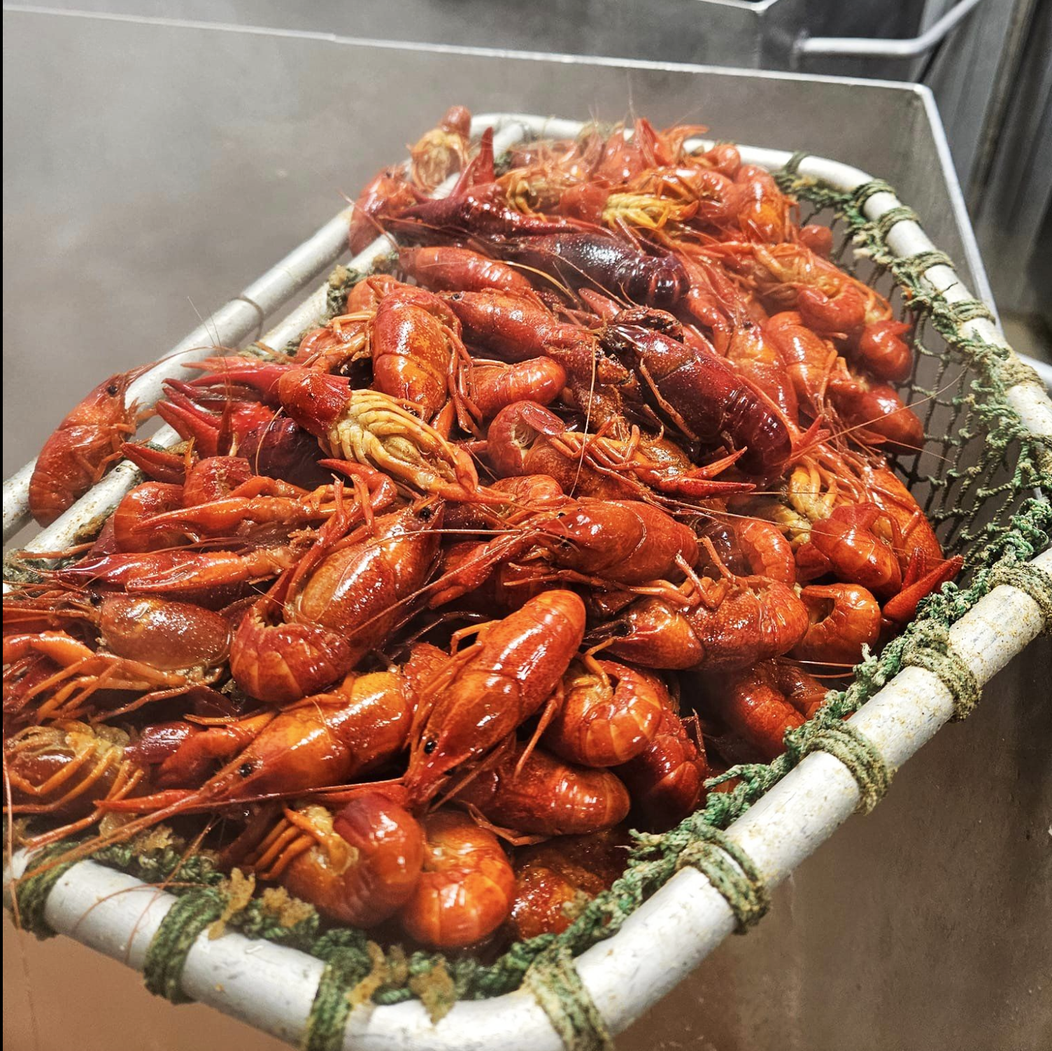BOILED CRAWFISH.png