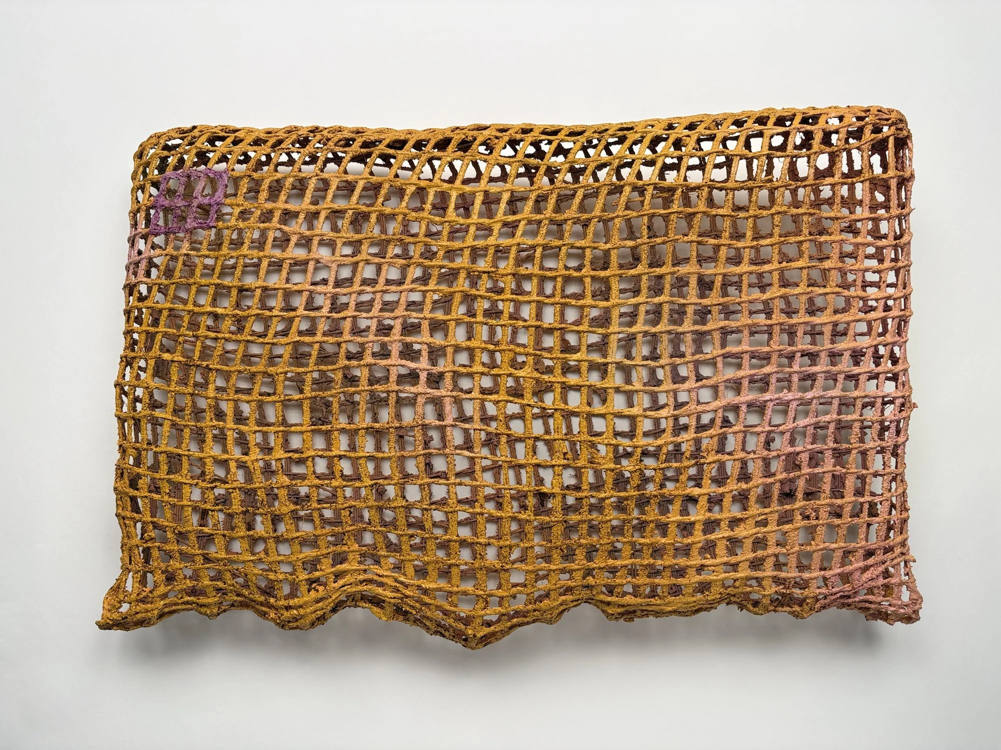 Sarita Westrup,
Basket_Gate (marigold), 2026
reed, mortar, paint, fiber paste, marigold and cochineal ink
17 x 26 x 3½ in.
Available