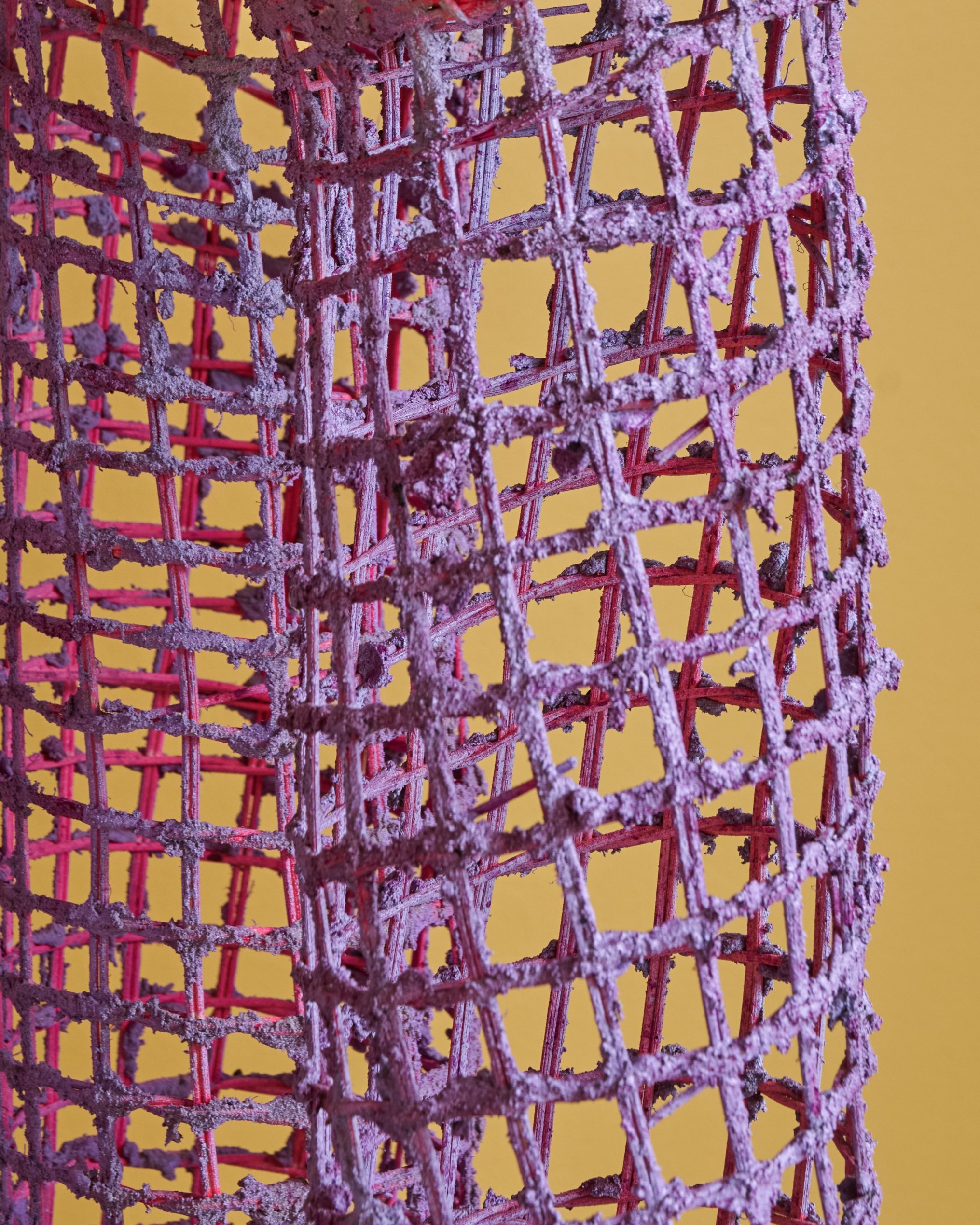 Shared Ground_Superhouse_photocredit Matthew Gordon_50_webres.jpg